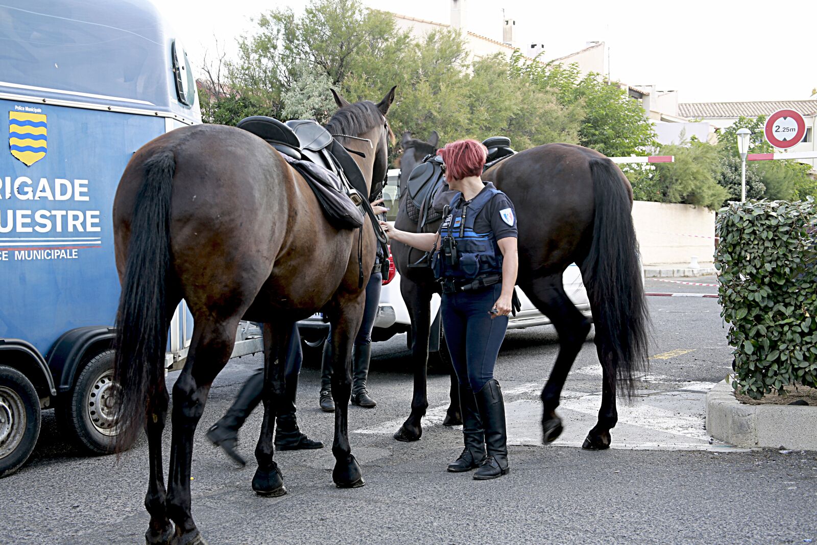 Canon EOS 5D Mark III sample photo. Horse, horseback riding, equestrian photography