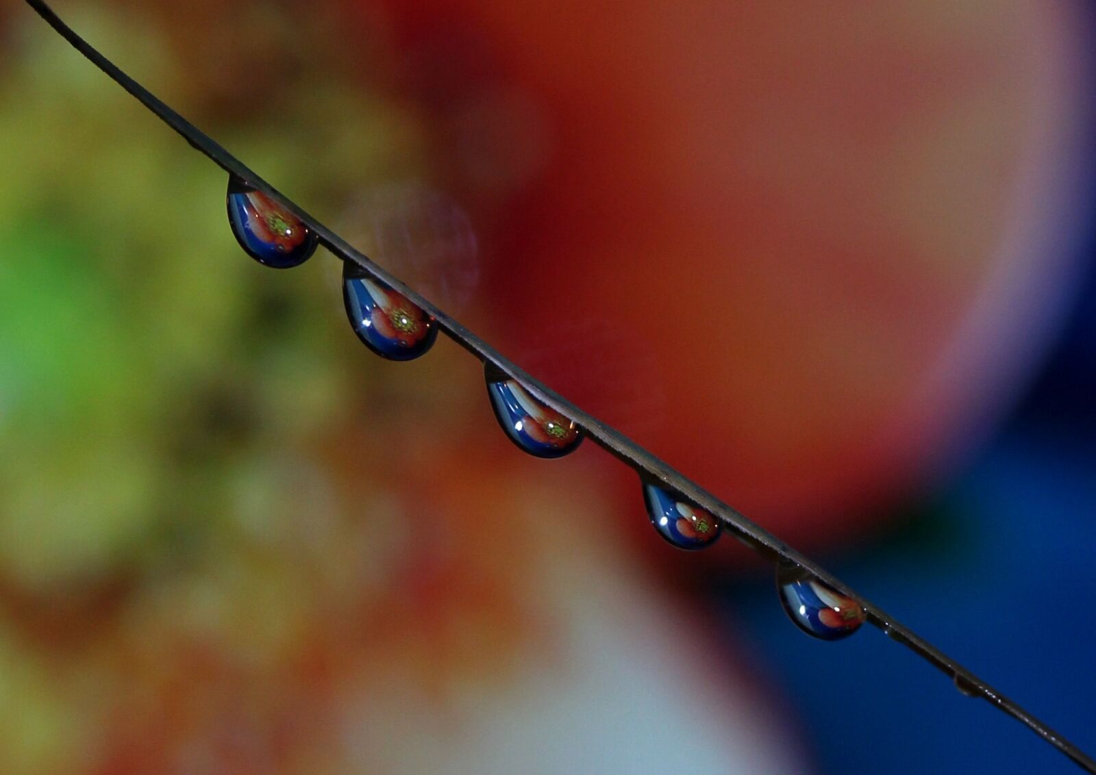 Canon EF-S 60mm F2.8 Macro USM sample photo. Drops, macro, reflection photography