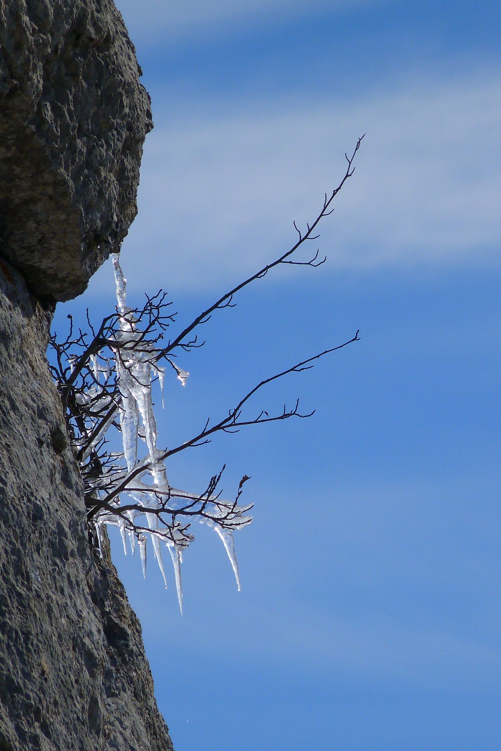 Panasonic Lumix DMC-FZ40 (Lumix DMC-FZ45) sample photo. Ice, training, winter photography