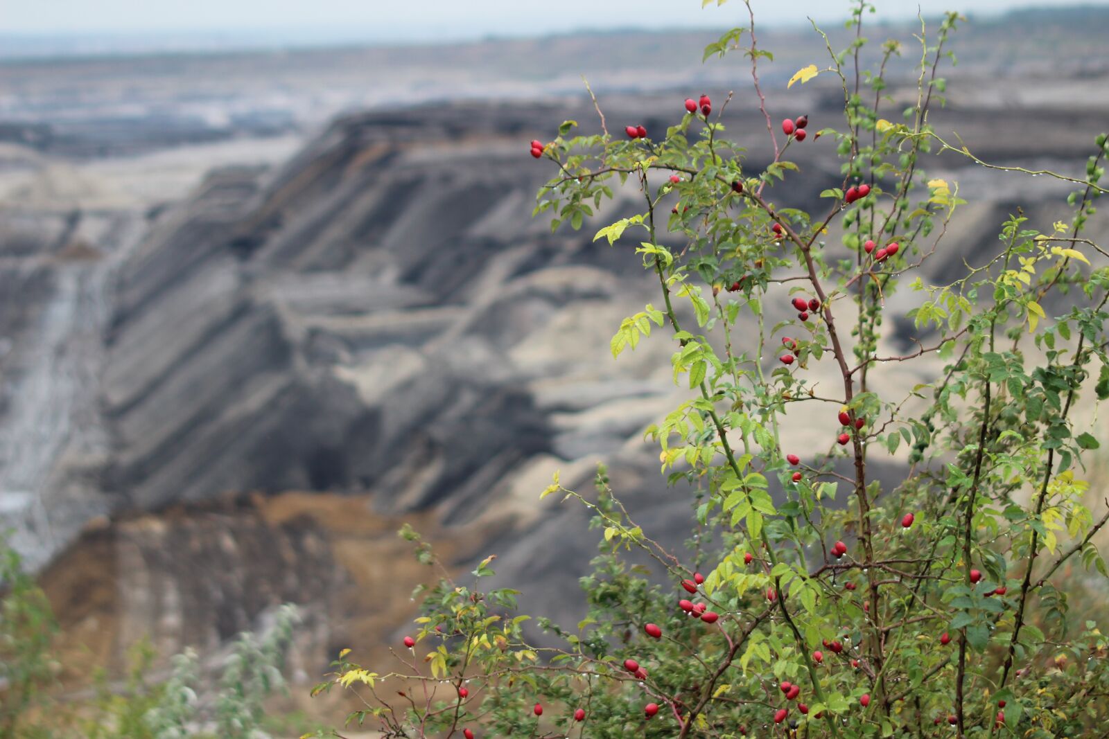 Canon EOS 1300D (EOS Rebel T6 / EOS Kiss X80) sample photo. Mining, open pit mining photography