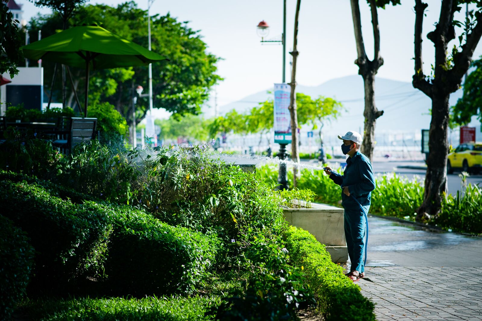 Nikon D3 sample photo. Tree, green, nature photography