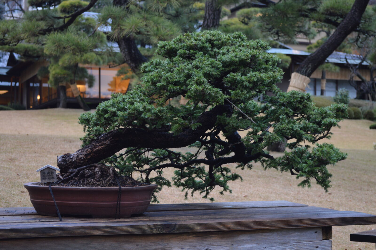 Nikon D3200 sample photo