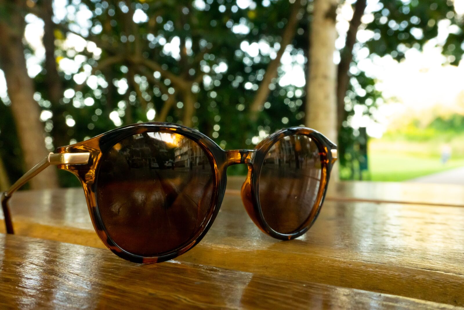 Sony a6000 sample photo. Sunglasses, beach, forest photography