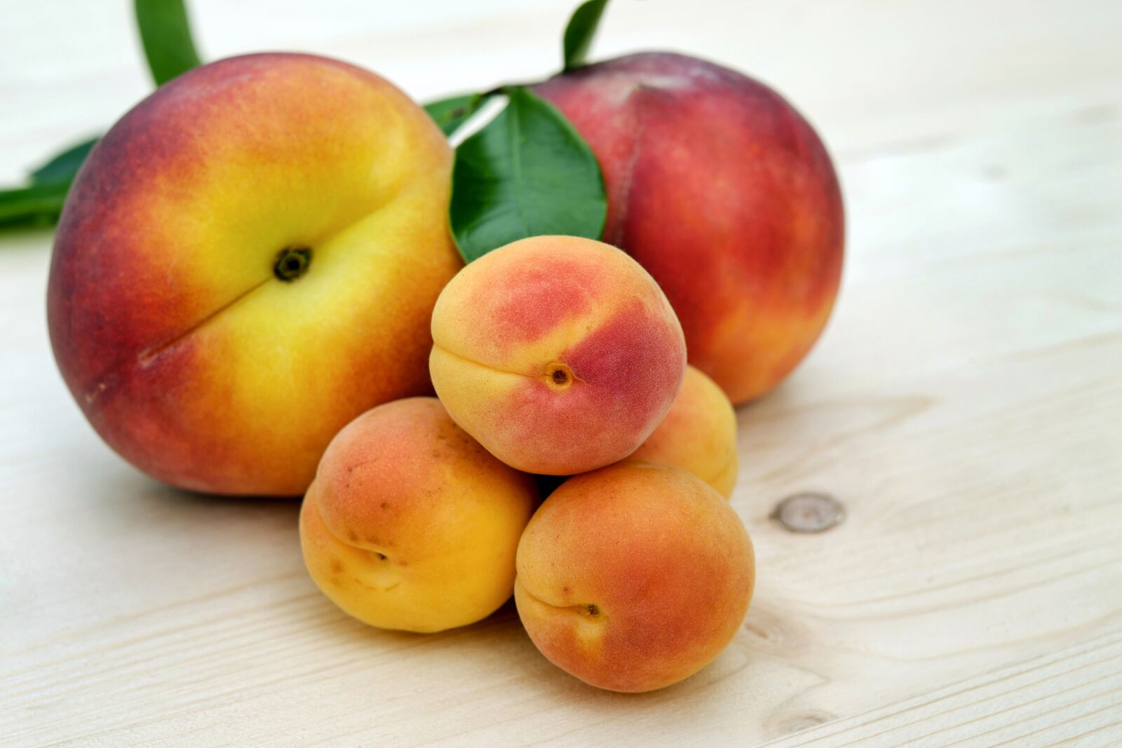 Fujifilm X-T10 + Fujifilm XF 35mm F1.4 R sample photo. Apricots, sugar apricots, peach photography