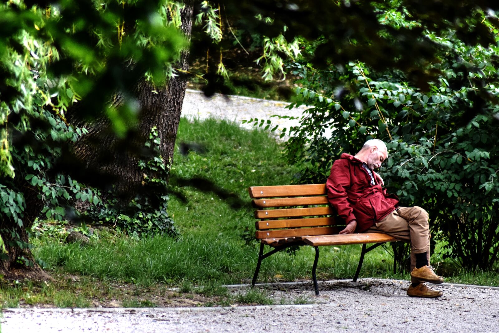 Nikon D5300 sample photo. Sleep, man, wanderer photography