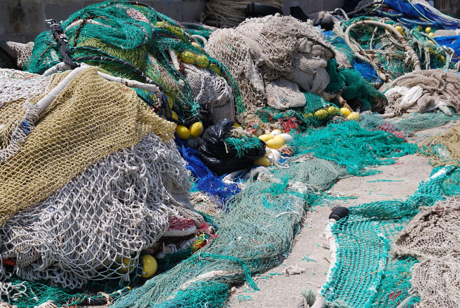 Nikon D60 sample photo. Fish, nature, sea photography