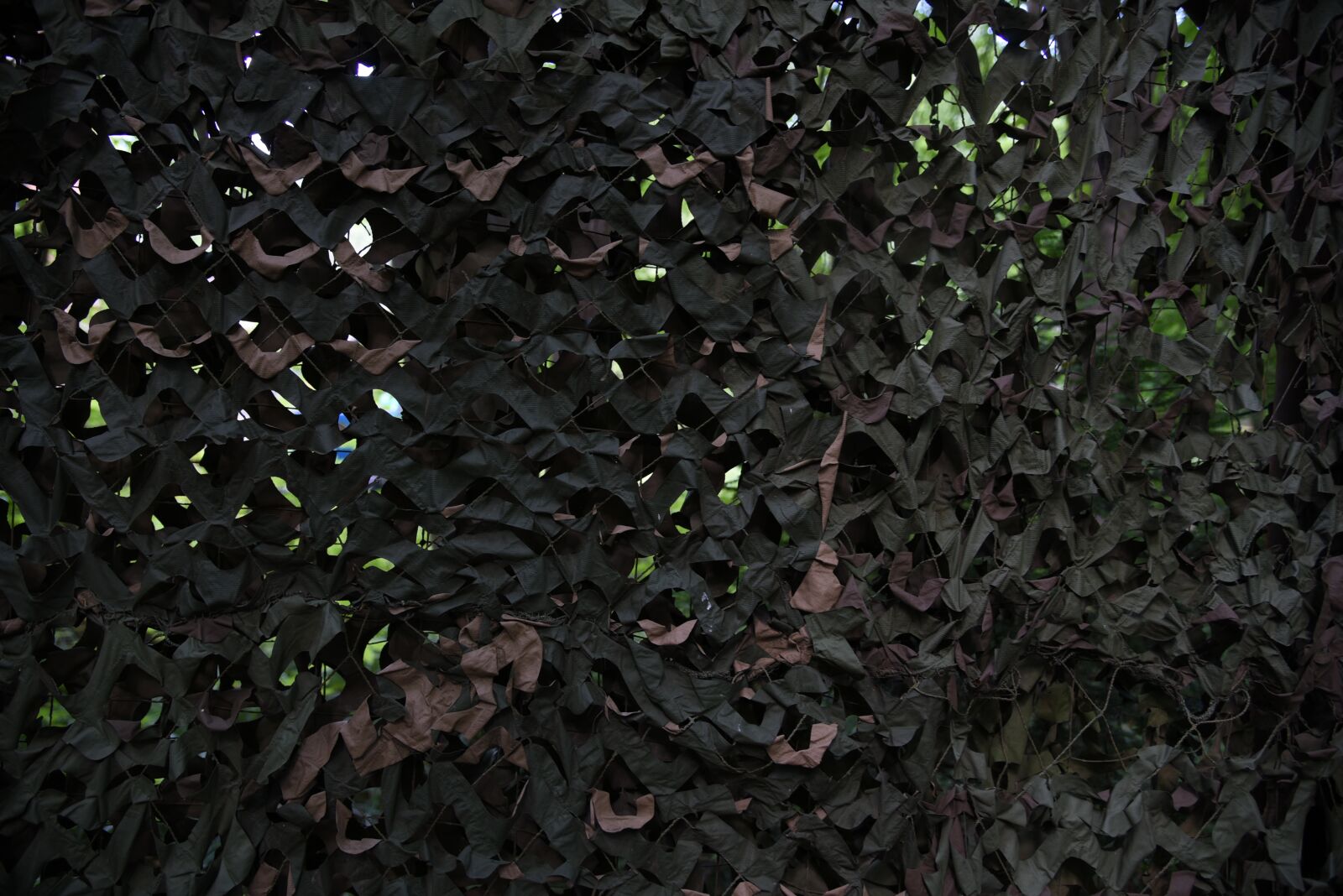 Nikon D750 sample photo. Camo, network, protection photography