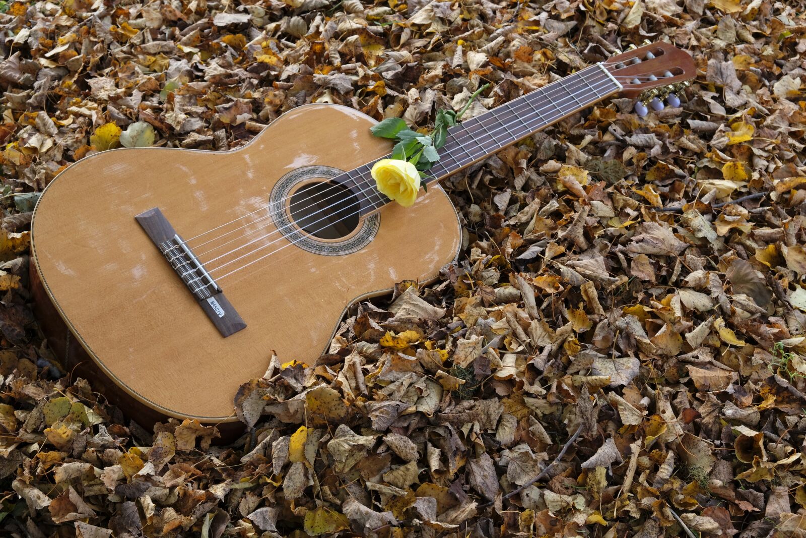 Fujifilm XF 18-55mm F2.8-4 R LM OIS sample photo. Guitar, instrument, musical instrument photography