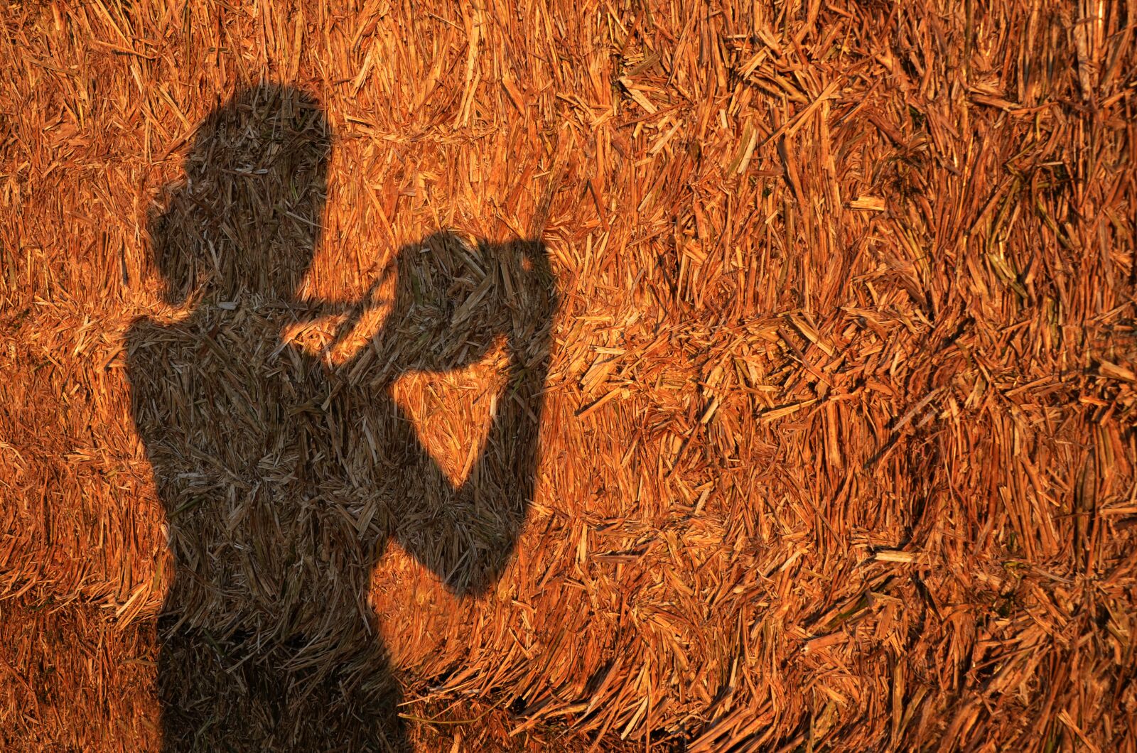 Nikon D7000 sample photo. Shadow, silhouette, dark photography