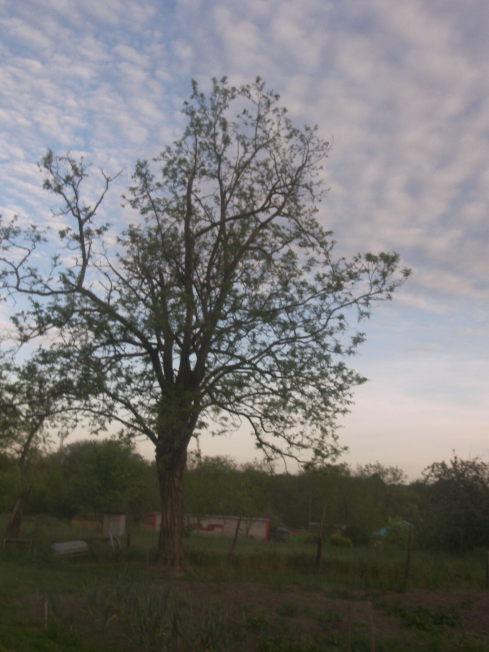Kodak P880 ZOOM DIGITAL CAMERA sample photo. Sky, the caucasus, spring photography