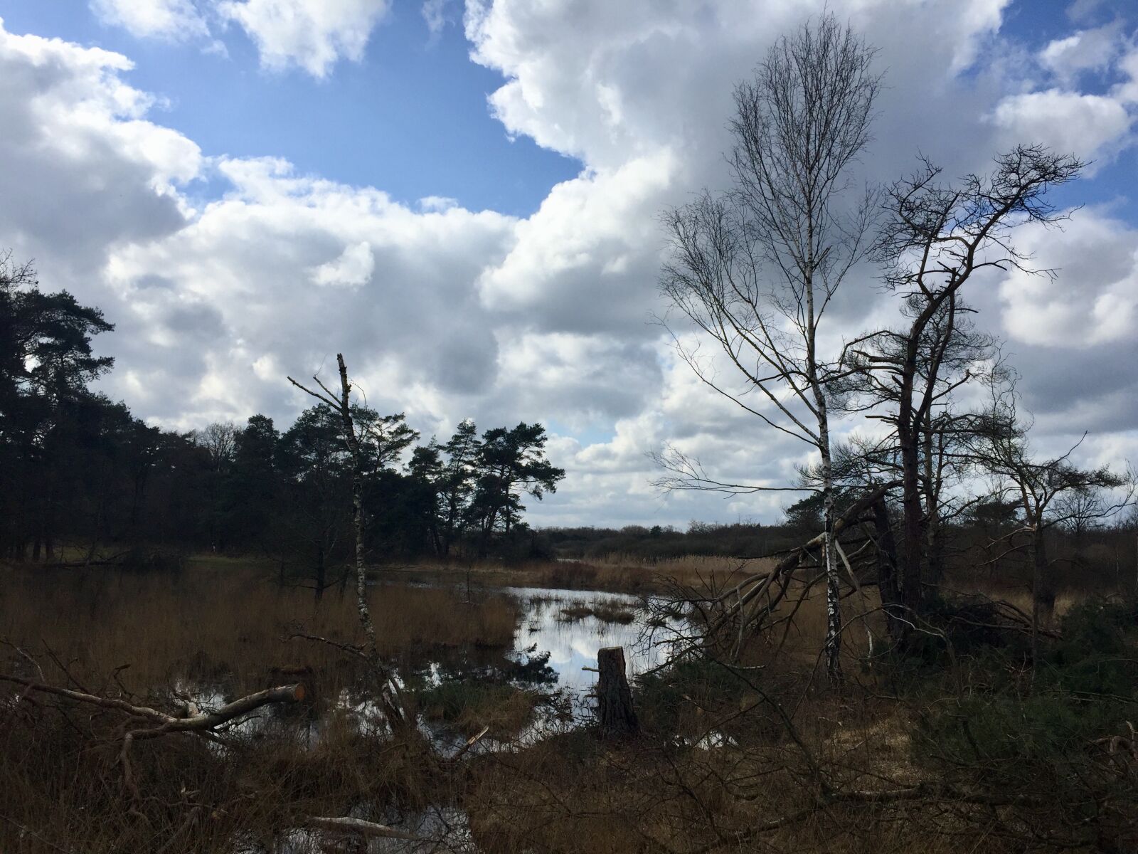 iPhone 6 back camera 4.15mm f/2.2 sample photo. Belgium, landscape, nature photography