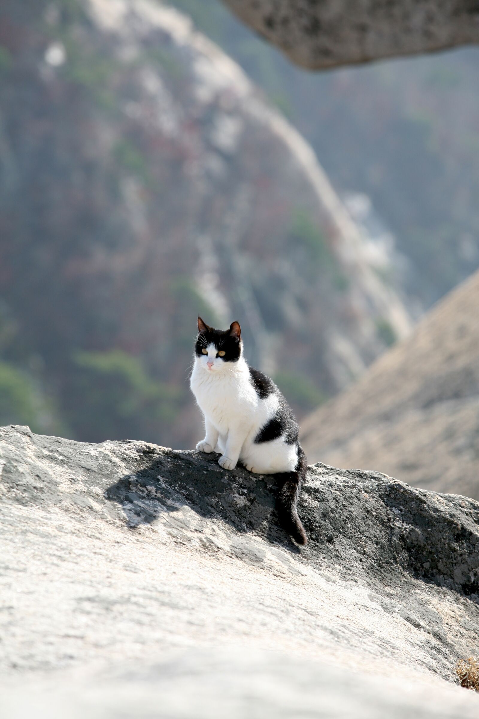 Canon EOS 5D sample photo. Bukhansan mountain, white new photography