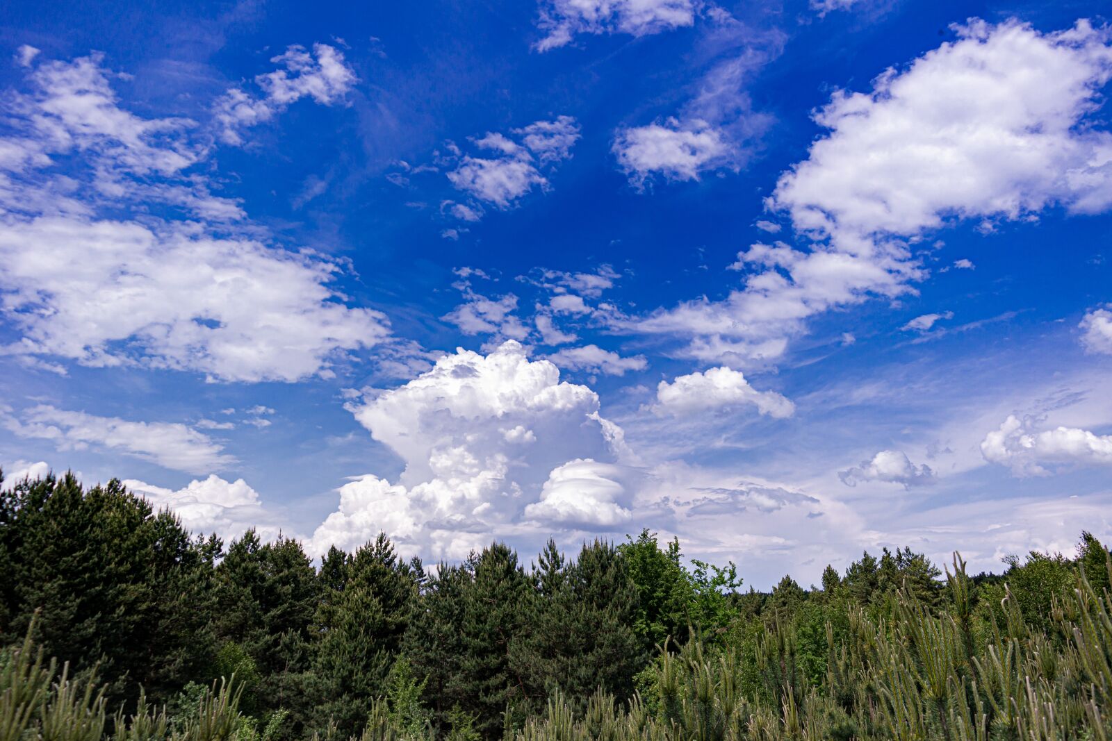 Samsung NX300 sample photo. Nature, sky, clouds photography