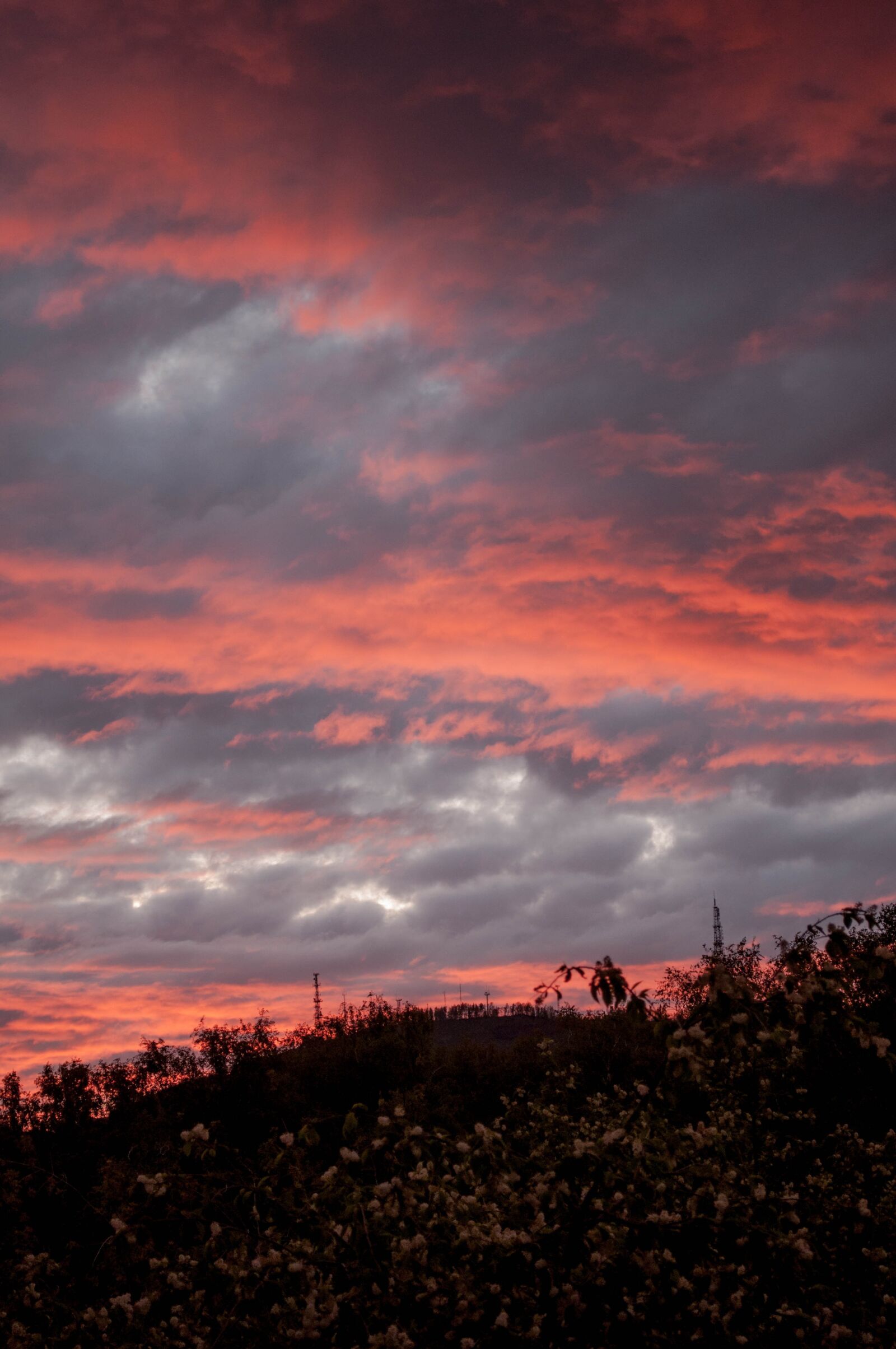 Nikon D5000 sample photo. Sunset, clouds, red photography
