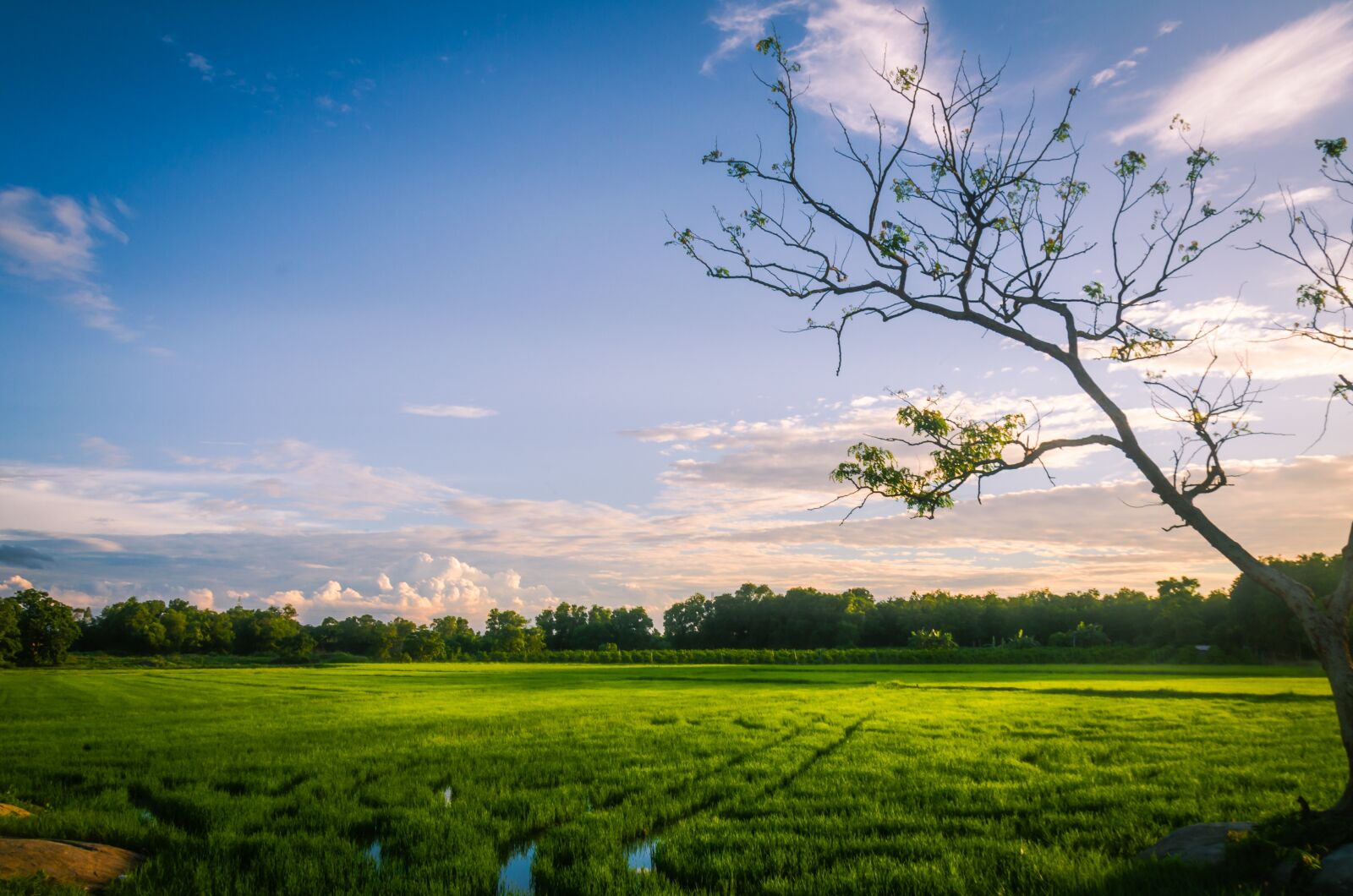 Nikon D5100 sample photo. Natural, field, sky photography