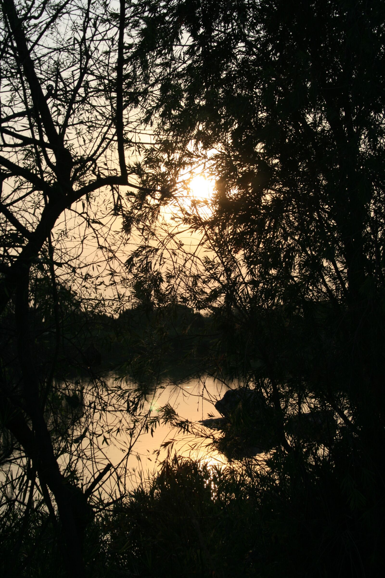 Canon EOS 400D (EOS Digital Rebel XTi / EOS Kiss Digital X) sample photo. Sunset over pond, pond photography