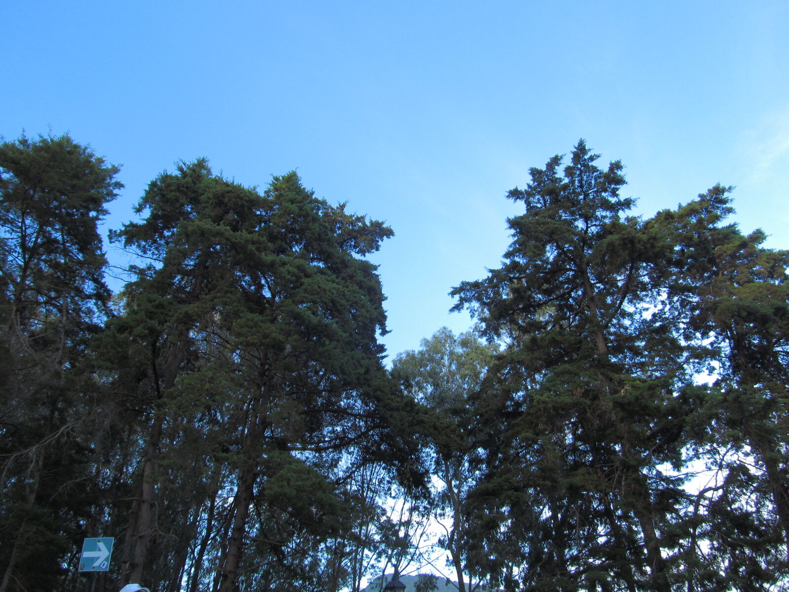 Canon PowerShot SX130 IS sample photo