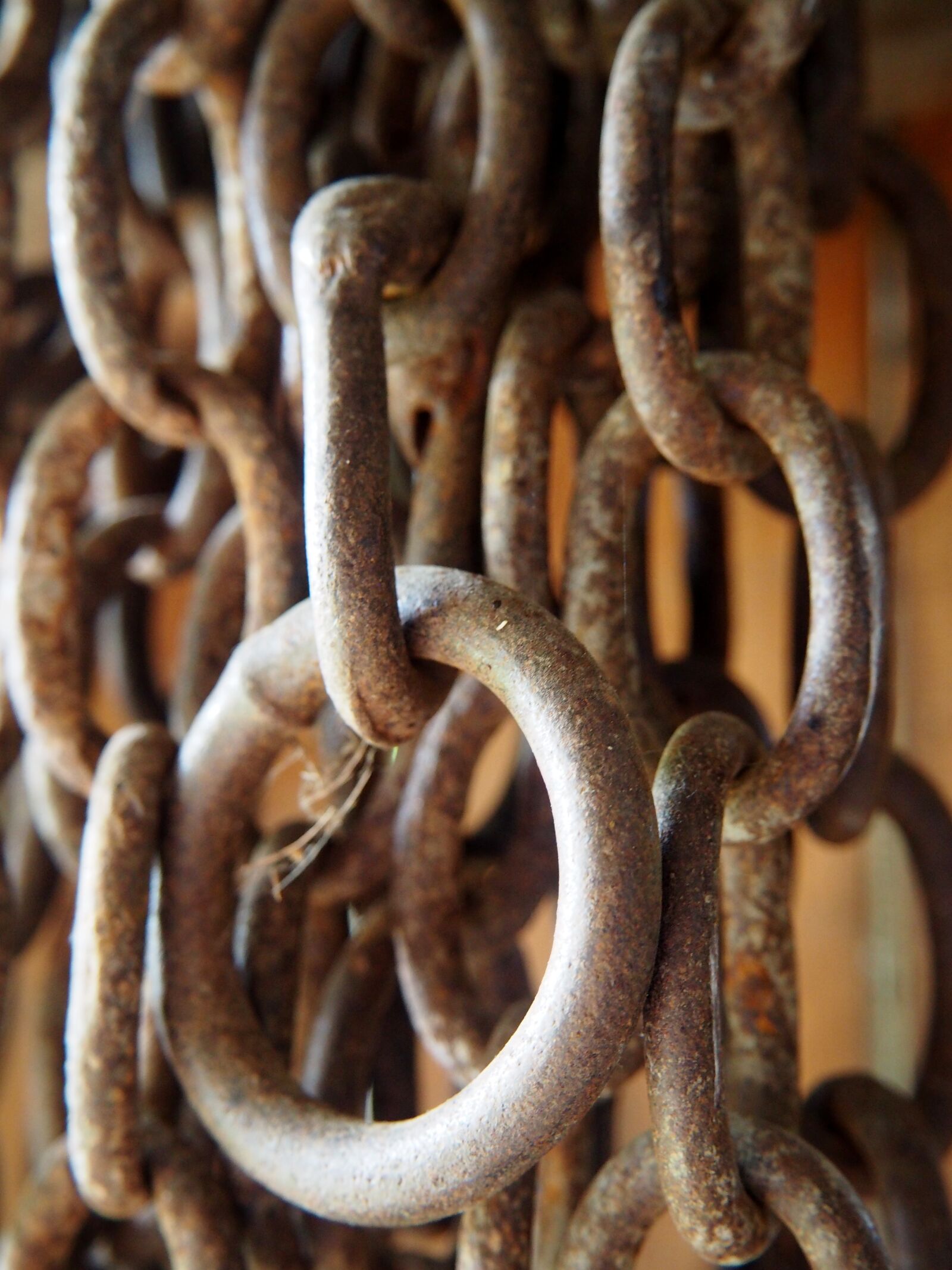 Olympus OM-D E-M10 sample photo. Chain, iron, rust photography