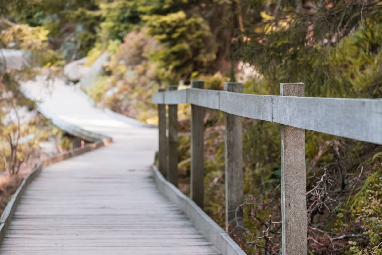 Fujifilm XF 55-200mm F3.5-4.8 R LM OIS sample photo. Away, bridge, wood photography