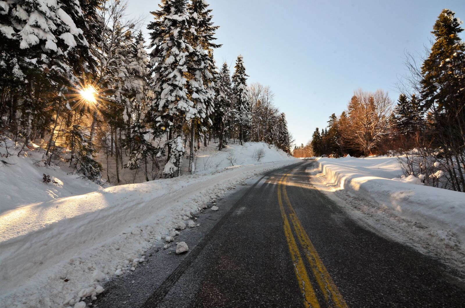 Nikon D7000 sample photo. Winter, forest, wintry photography