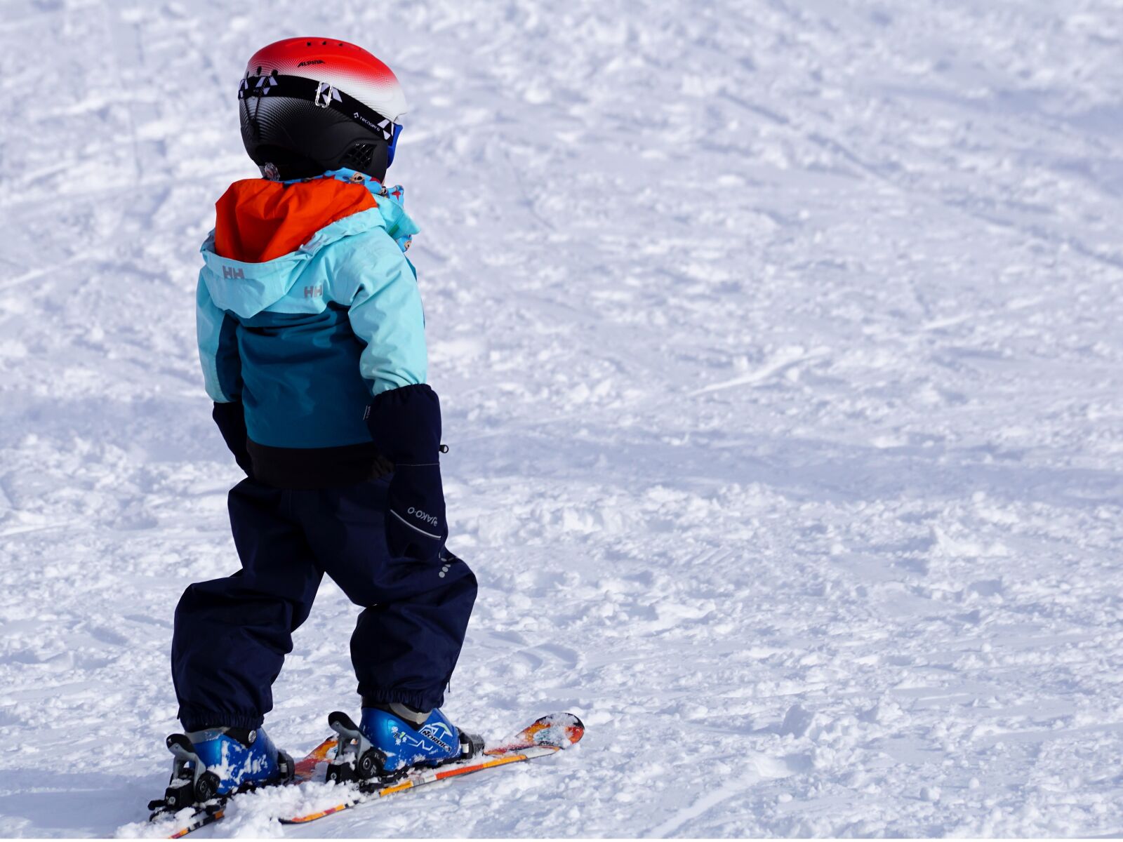 Sony DT 55-300mm F4.5-5.6 SAM sample photo. Snow, winter, pleasure photography
