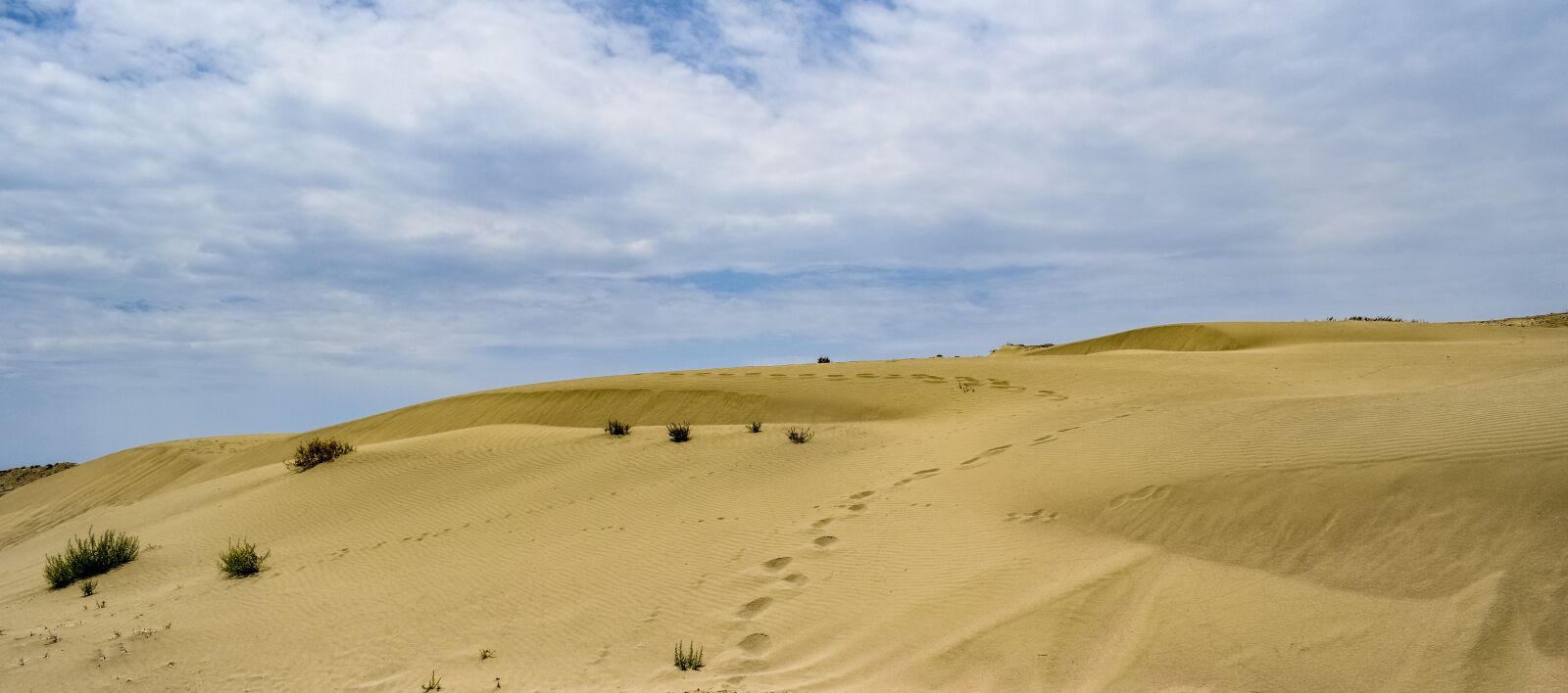 Nikon D3300 sample photo. Footsteps, dunes, sand photography