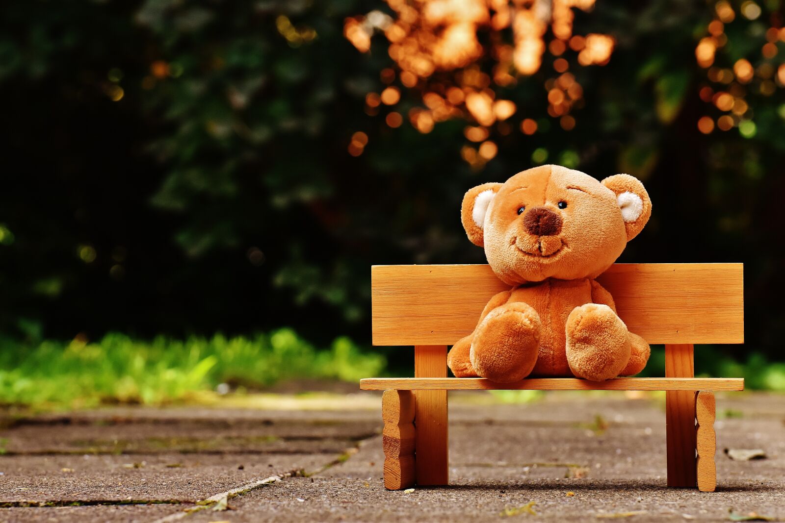 Nikon D7200 sample photo. Teddy, bank, sit photography