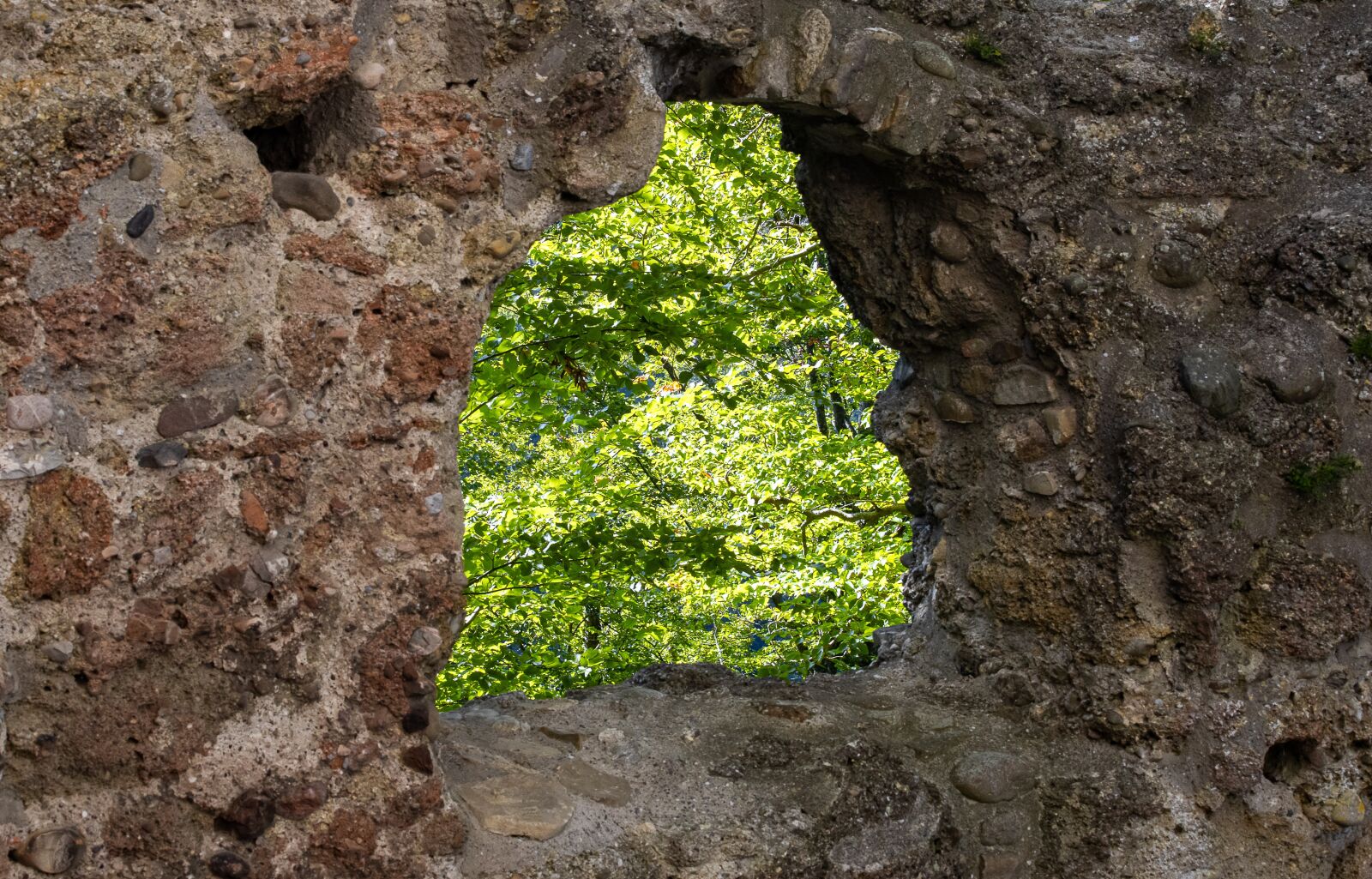 Canon EF 70-300mm F4-5.6 IS USM sample photo. Embrasure, masonry, trees photography