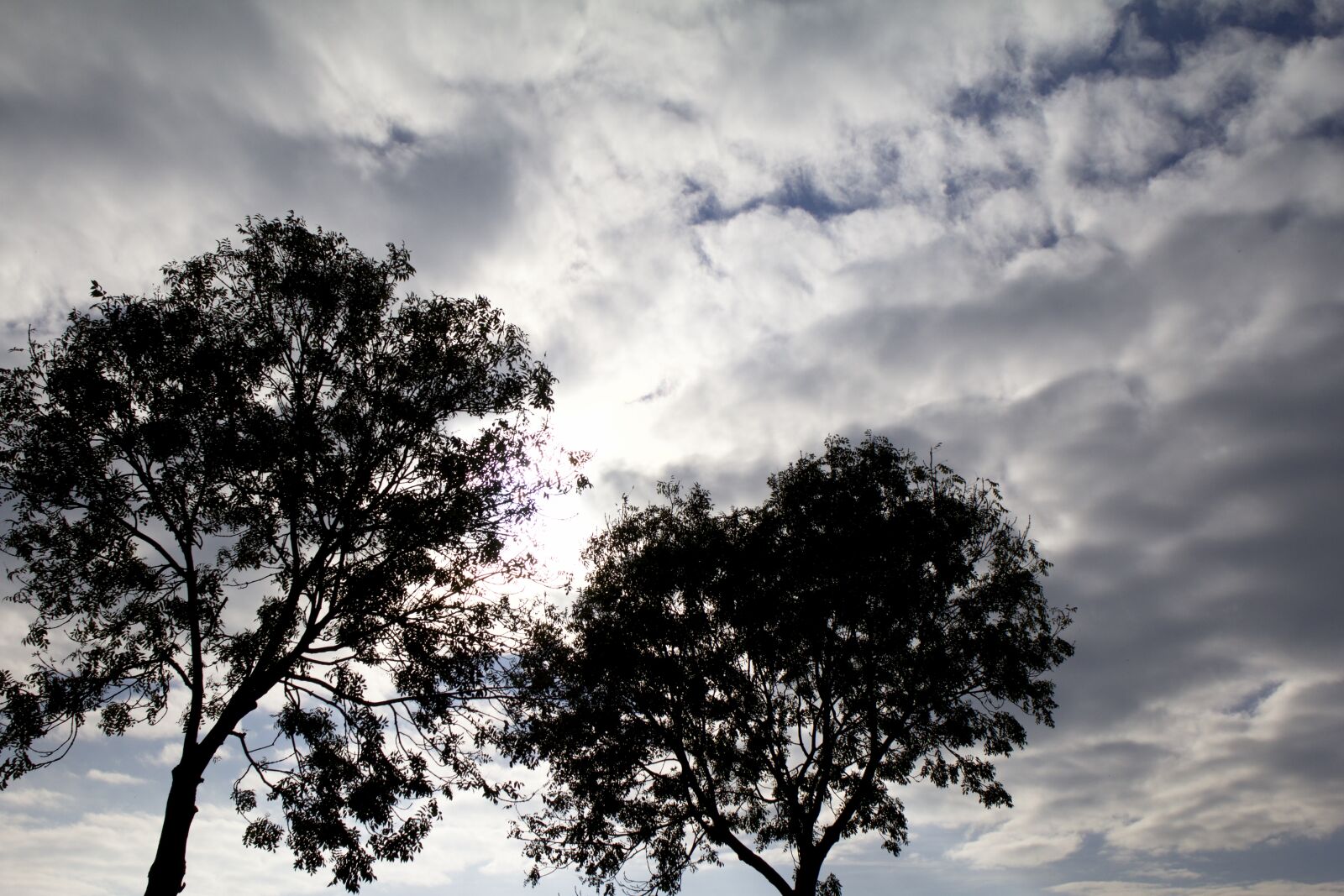 Canon EOS 70D + Canon EF 24mm F2.8 IS USM sample photo. Clouds, morning, sun, trees photography