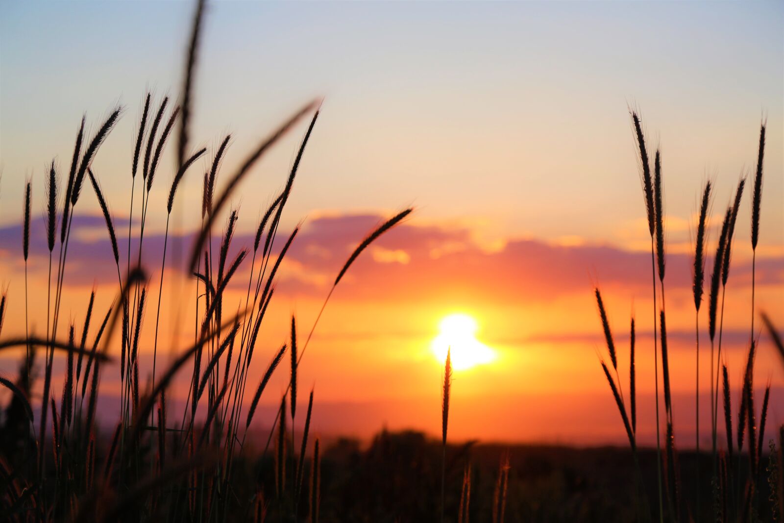 Canon EF 24-105mm F4L IS USM sample photo. Sunset, in the evening photography