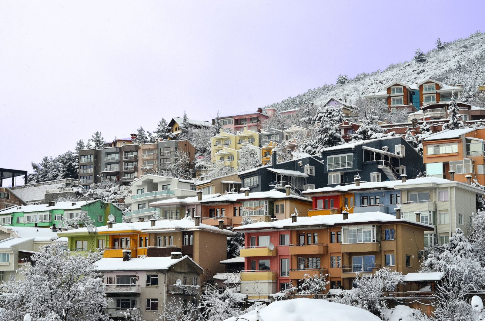 Nikon D5100 sample photo. Kiis, winter, snow photography