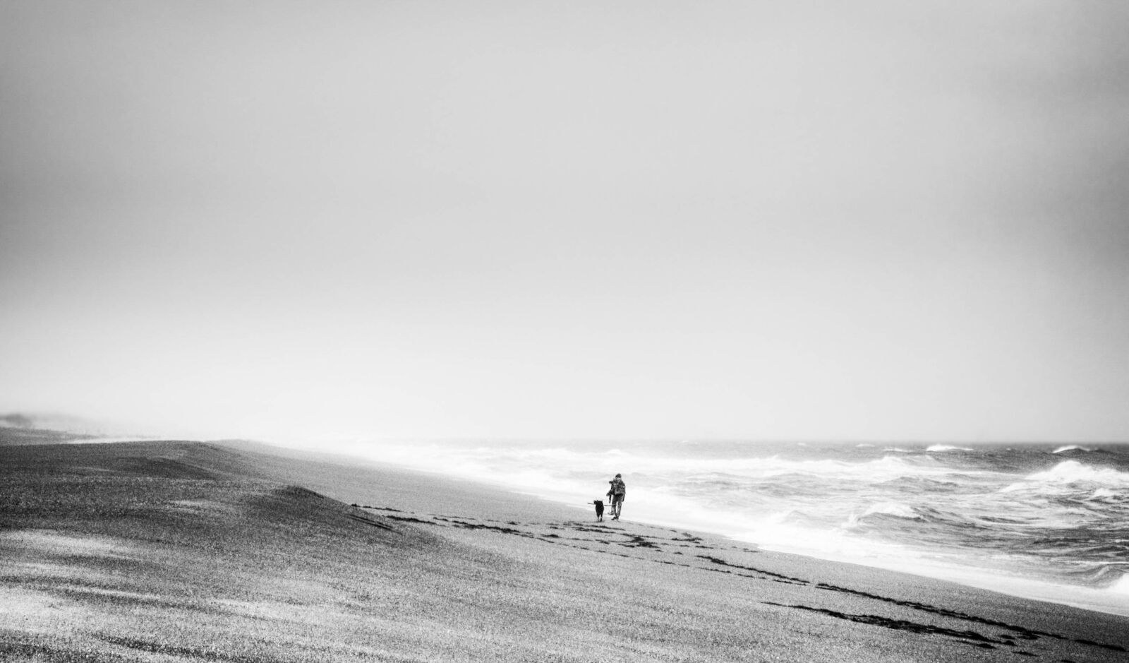 Canon POWERSHOT A560 sample photo. Beach, sand, coast photography
