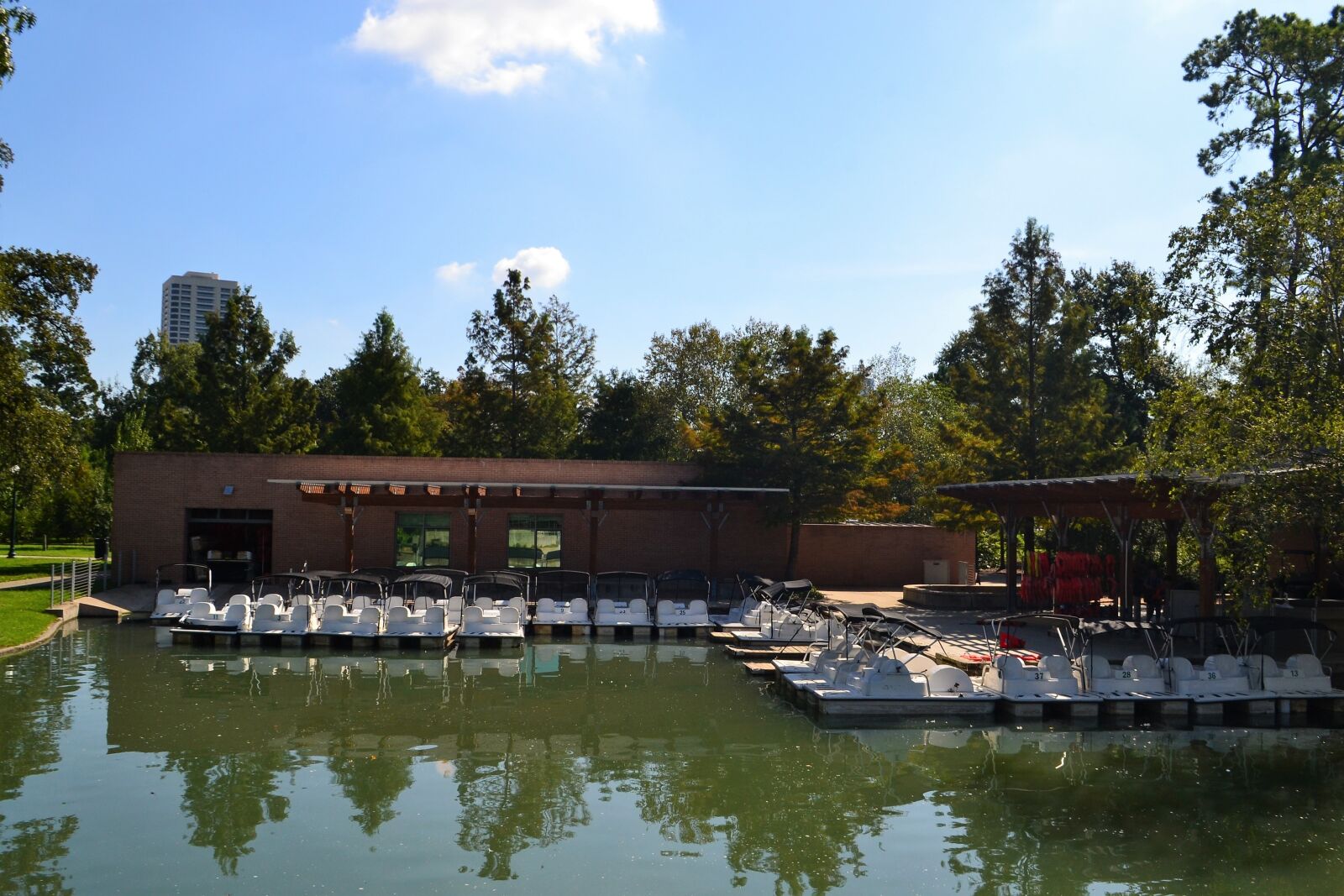 Nikon D3100 sample photo. Boat ride, herman park photography