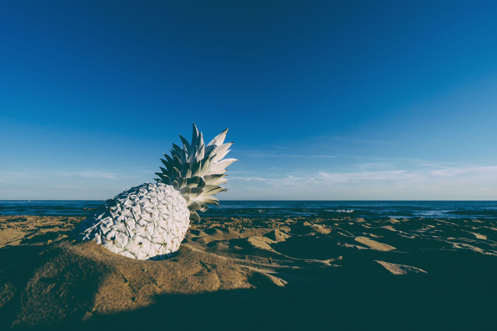 Sony Vario-Tessar T* FE 16-35mm F4 ZA OSS sample photo. Beach, beachlife, fruit, horizon photography