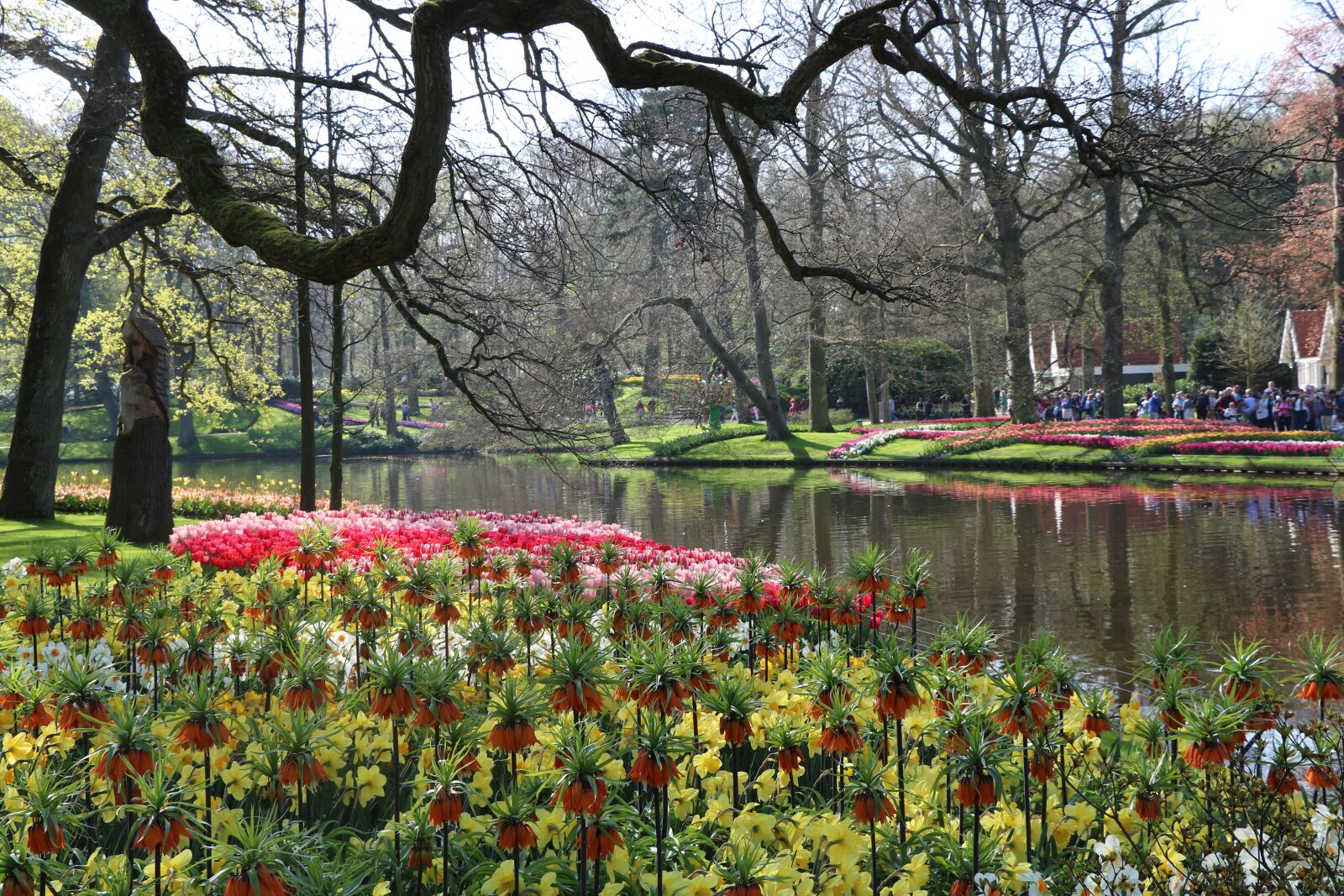 Canon EOS 750D (EOS Rebel T6i / EOS Kiss X8i) sample photo. Park, holland, keukenhof photography