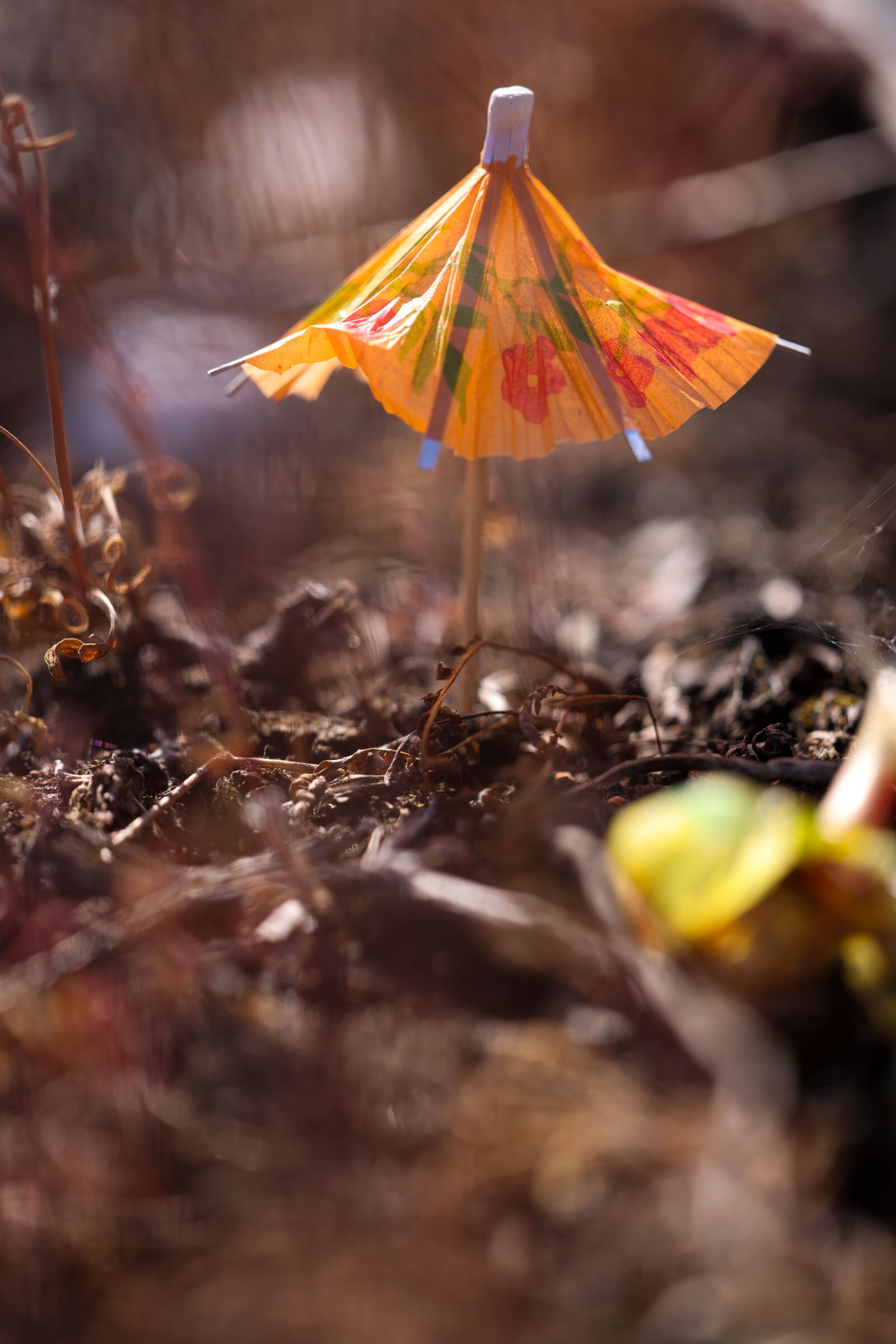 Canon RF 100mm F2.8L Macro IS USM sample photo. Umbrella party bokeh photography