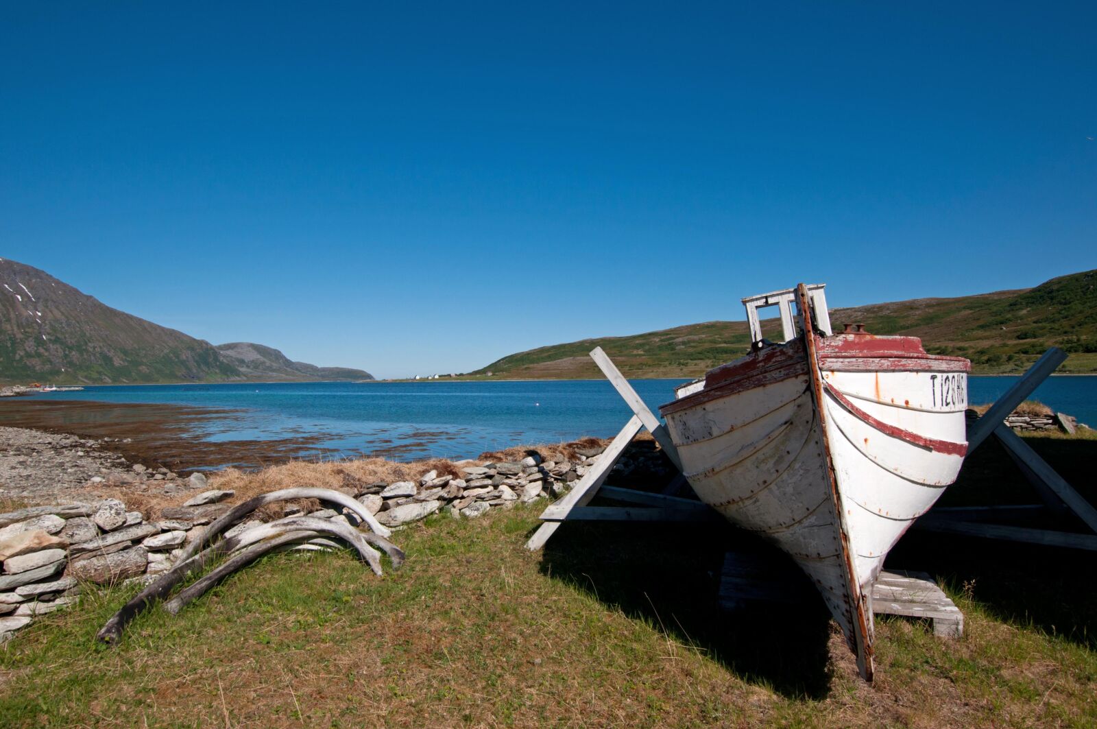 Nikon D90 sample photo. Norway, vannöya, summer photography