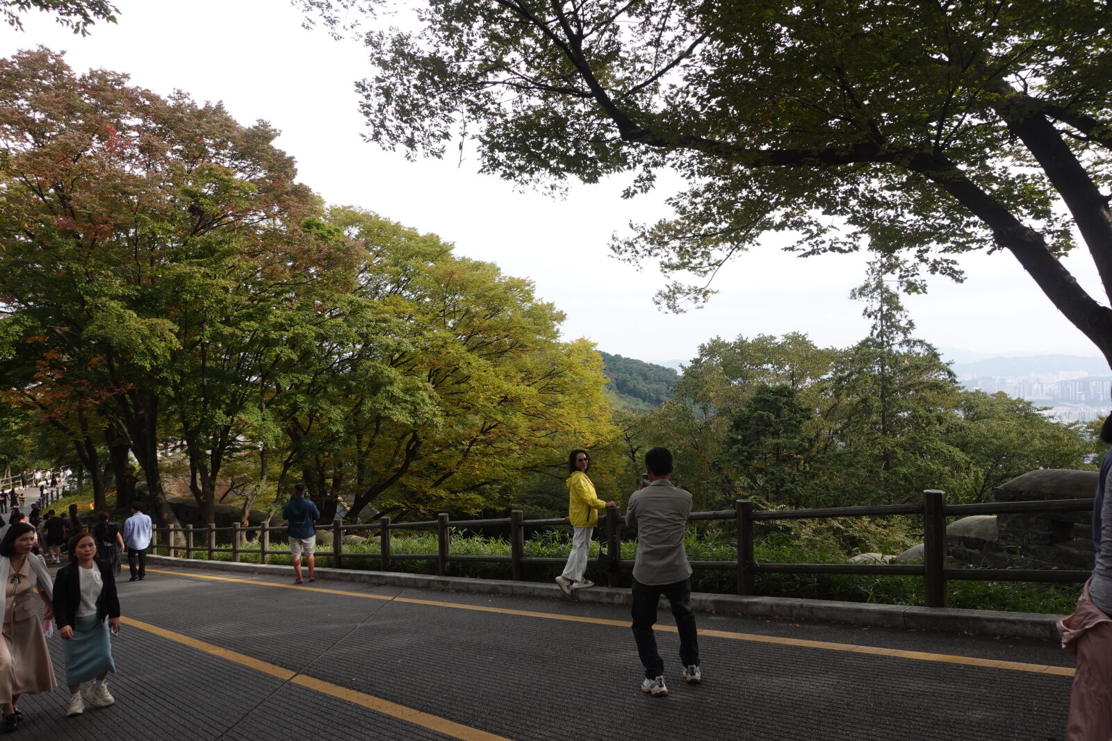 Sony ZV-1 sample photo