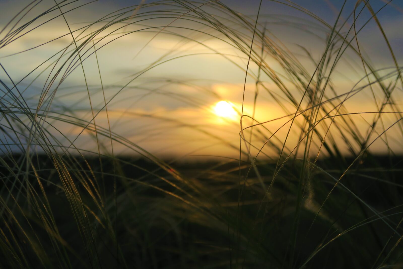 Canon PowerShot G7 X sample photo. Sunset, solar, horizon photography