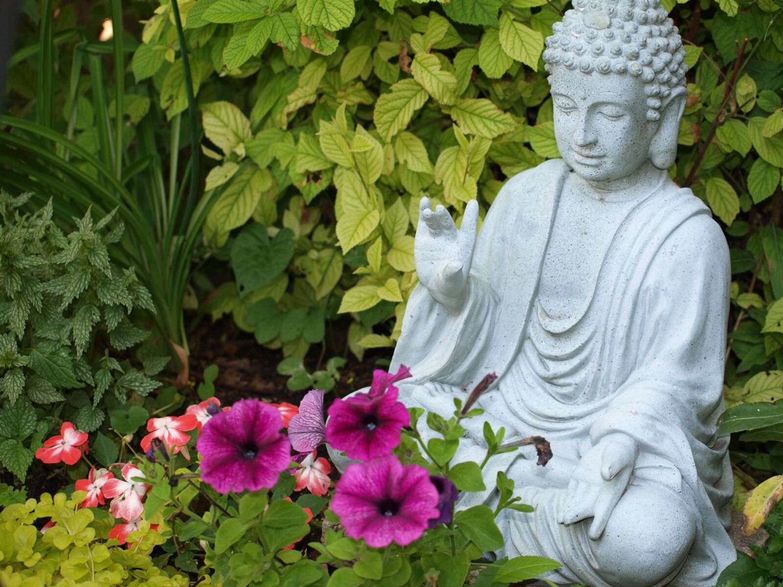 Olympus E-520 (EVOLT E-520) sample photo. Buddha, spiritual, meditation photography