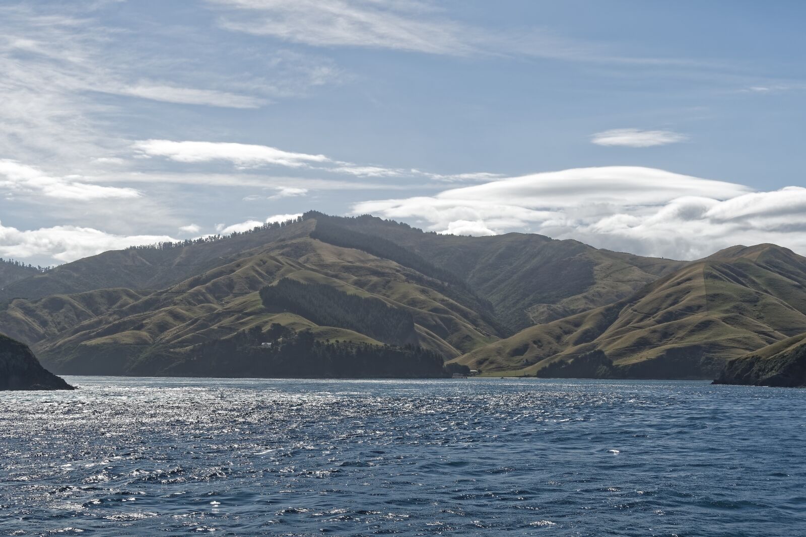 Nikon D500 sample photo. New zealand, cook street photography