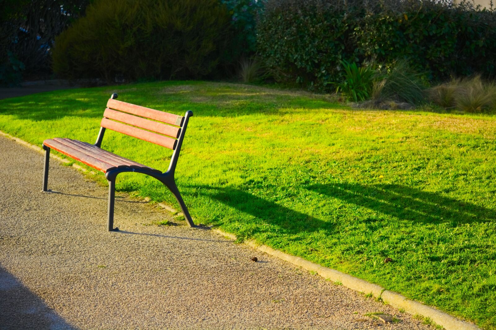 Nikon D5200 sample photo. Lawn, bench, nature photography