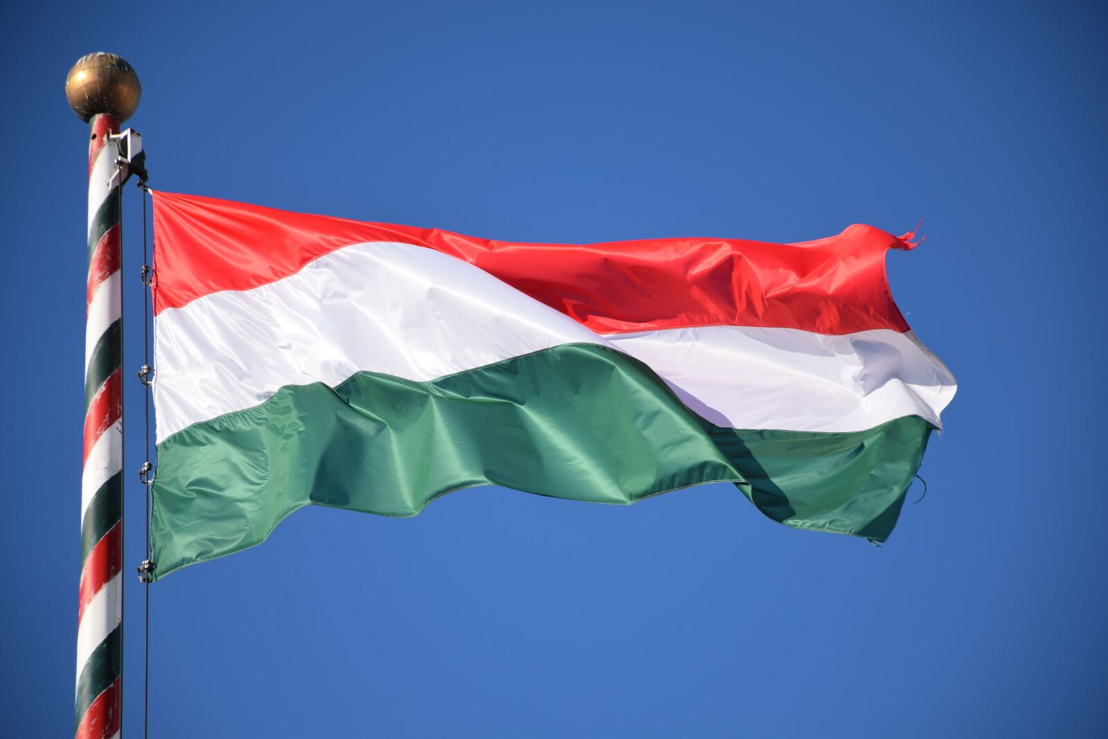 Nikon D3300 sample photo. Ungarn, hungary, flagg of photography