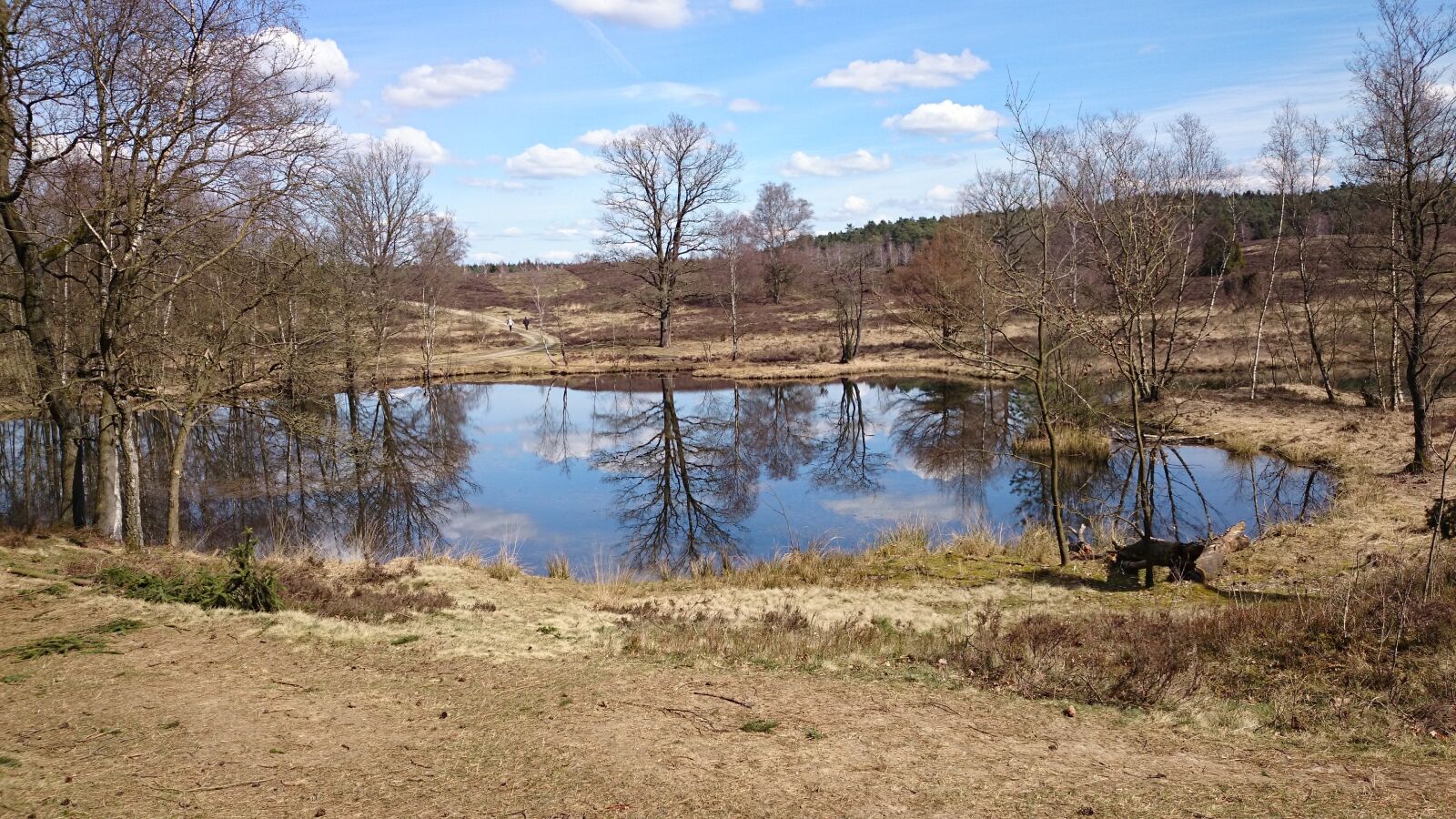 Sony Xperia Z1 sample photo. Spring, lake, mirroring photography