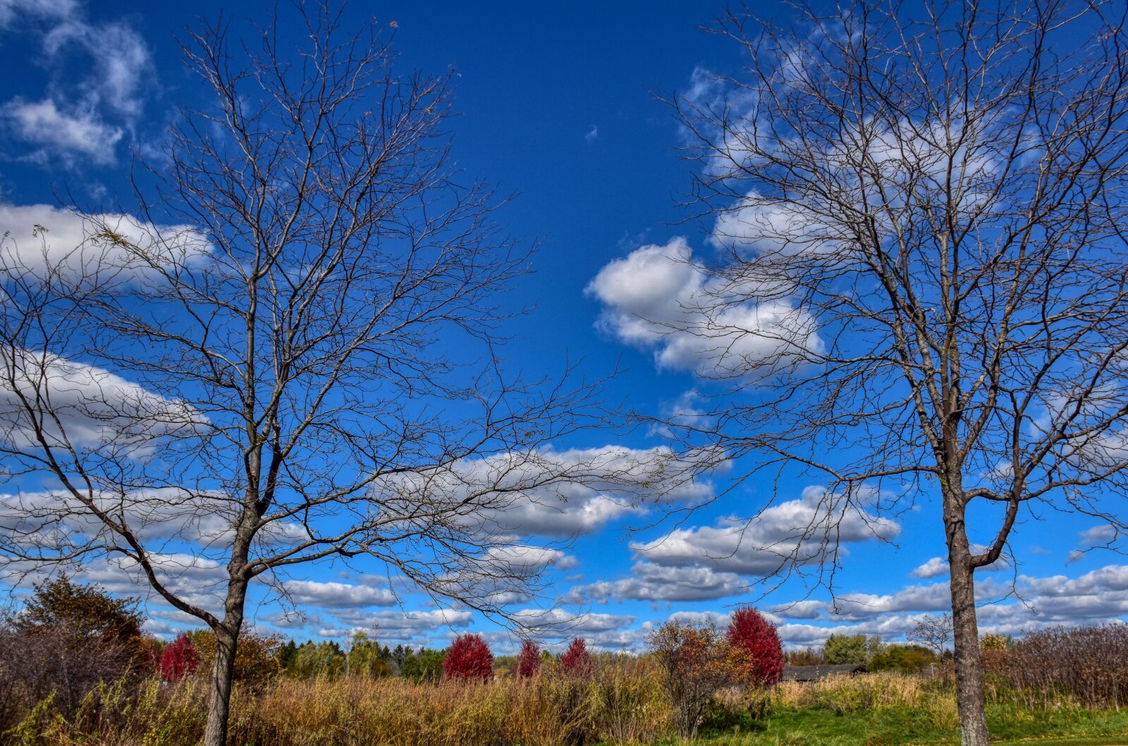Nikon D5500 sample photo. Landscape, fall, prairie photography