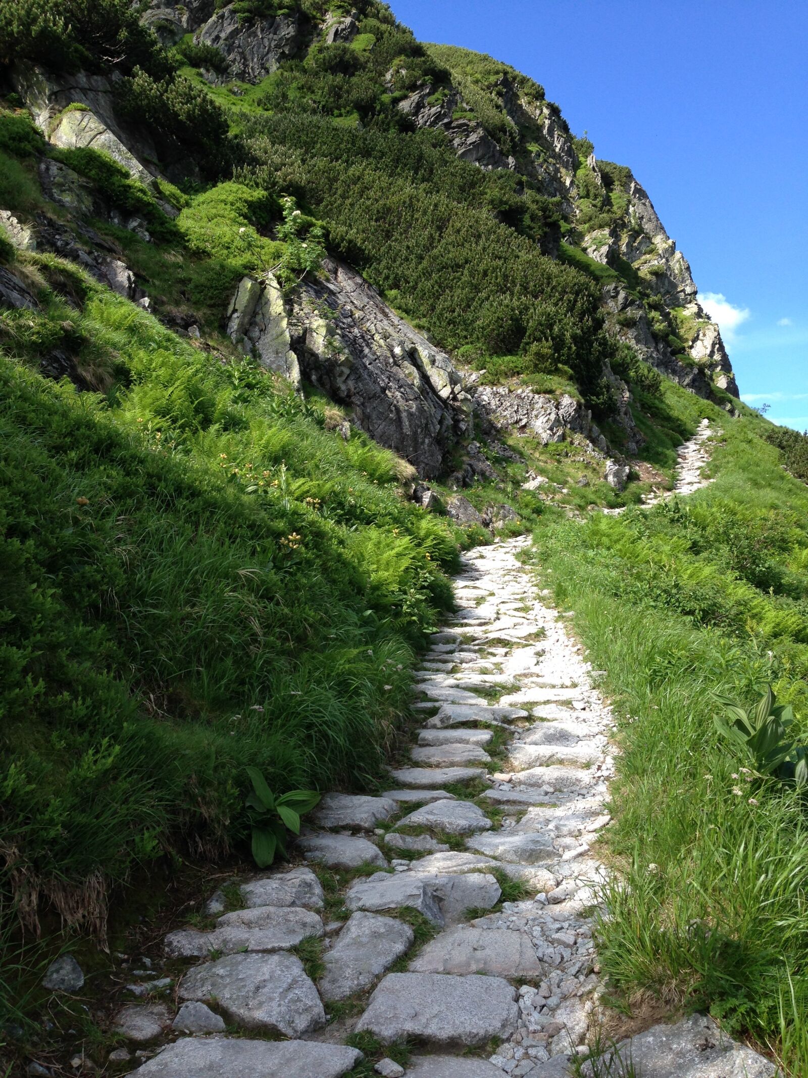 iPhone 5c back camera 4.12mm f/2.4 sample photo. Tatry, mountains, trail photography