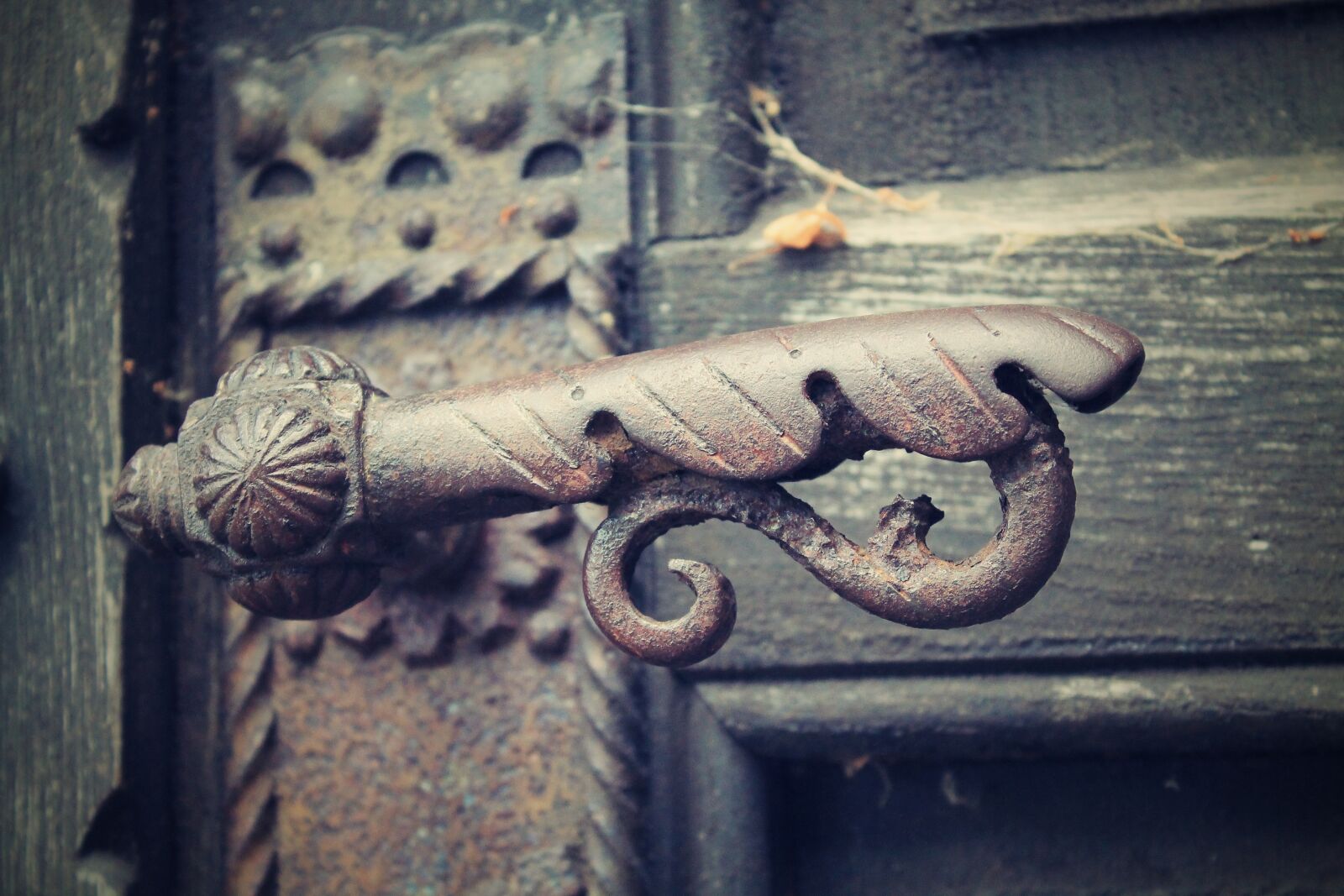 Canon EOS 1100D (EOS Rebel T3 / EOS Kiss X50) sample photo. Handle, door, metal photography