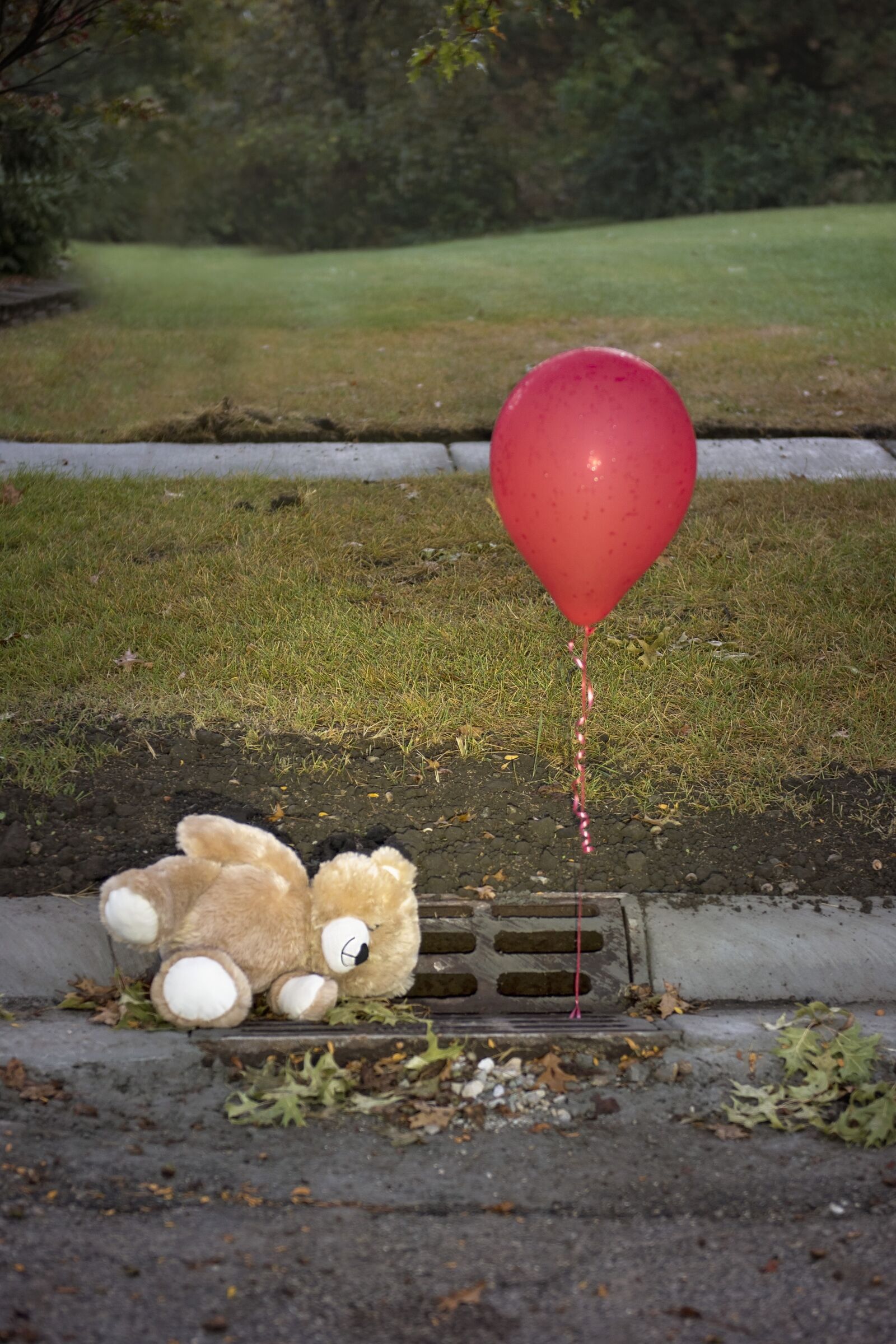Nikon D810 sample photo. It, red, ballon photography
