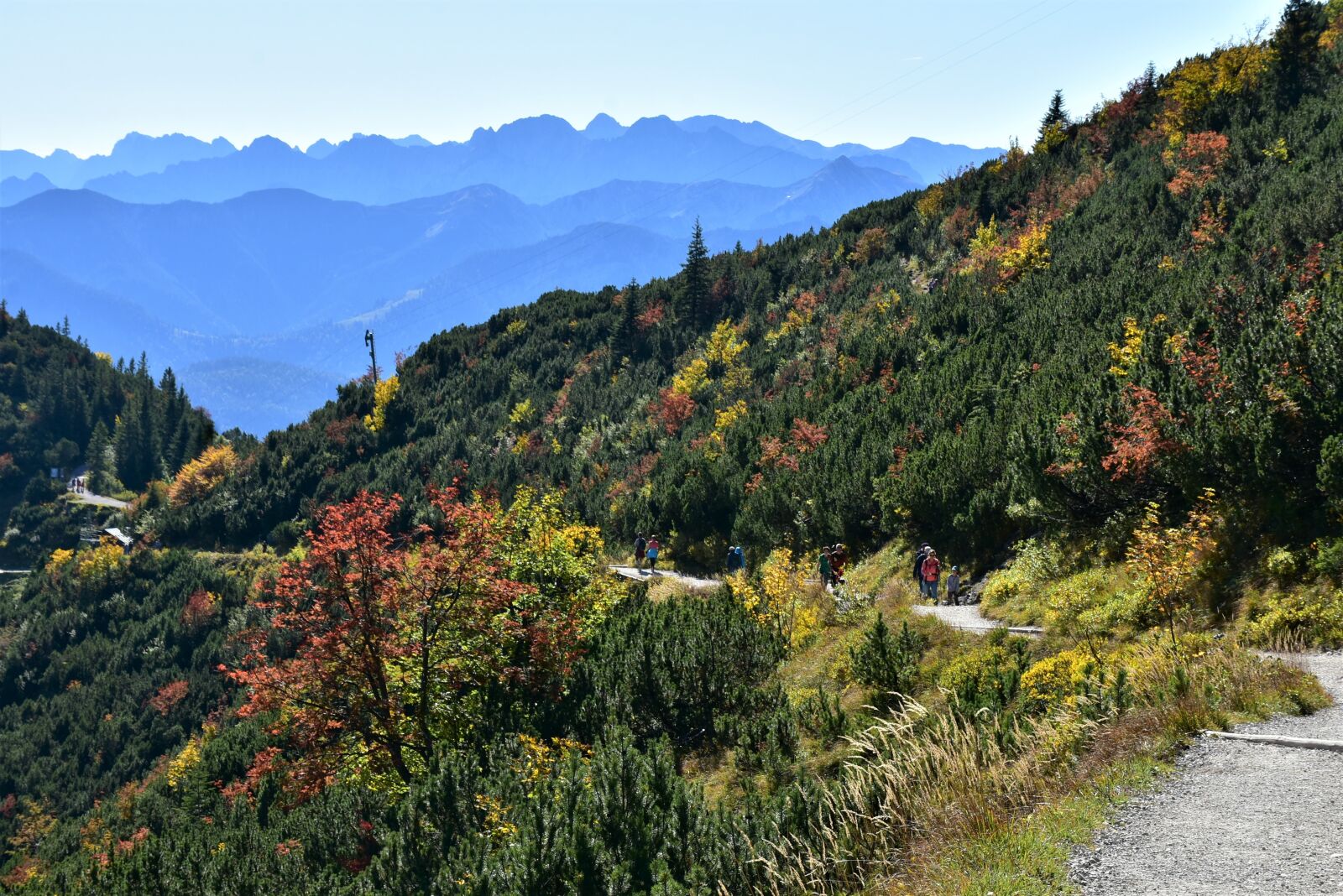 Nikon D7200 sample photo. Alpine, herzogstand, mountain photography