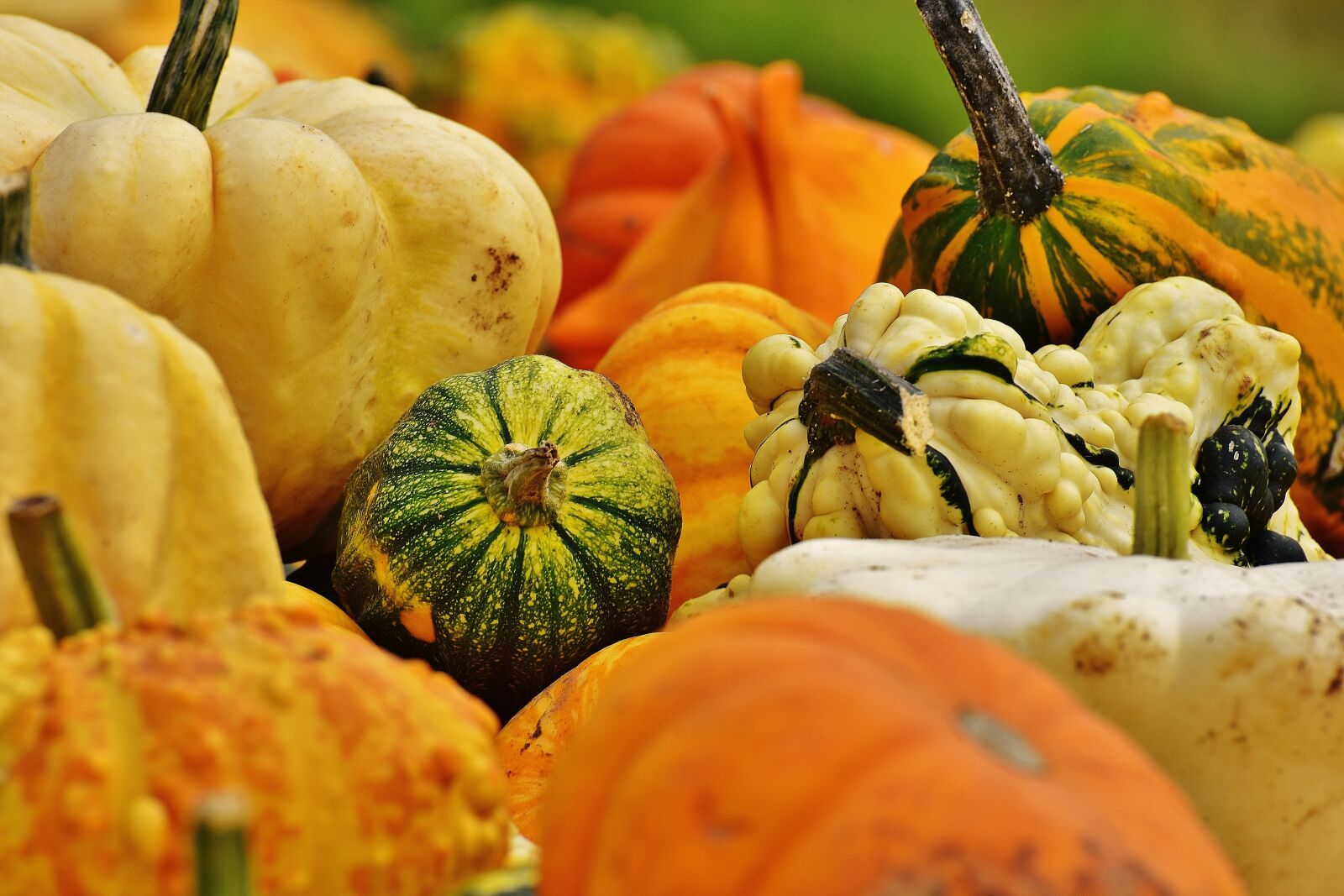 Nikon D7200 sample photo. Pumpkins, autumn, autumn decoration photography